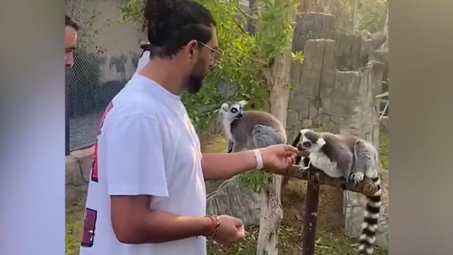 Watch! Yuvraj Singh shares his adventurous side, takes on a liger