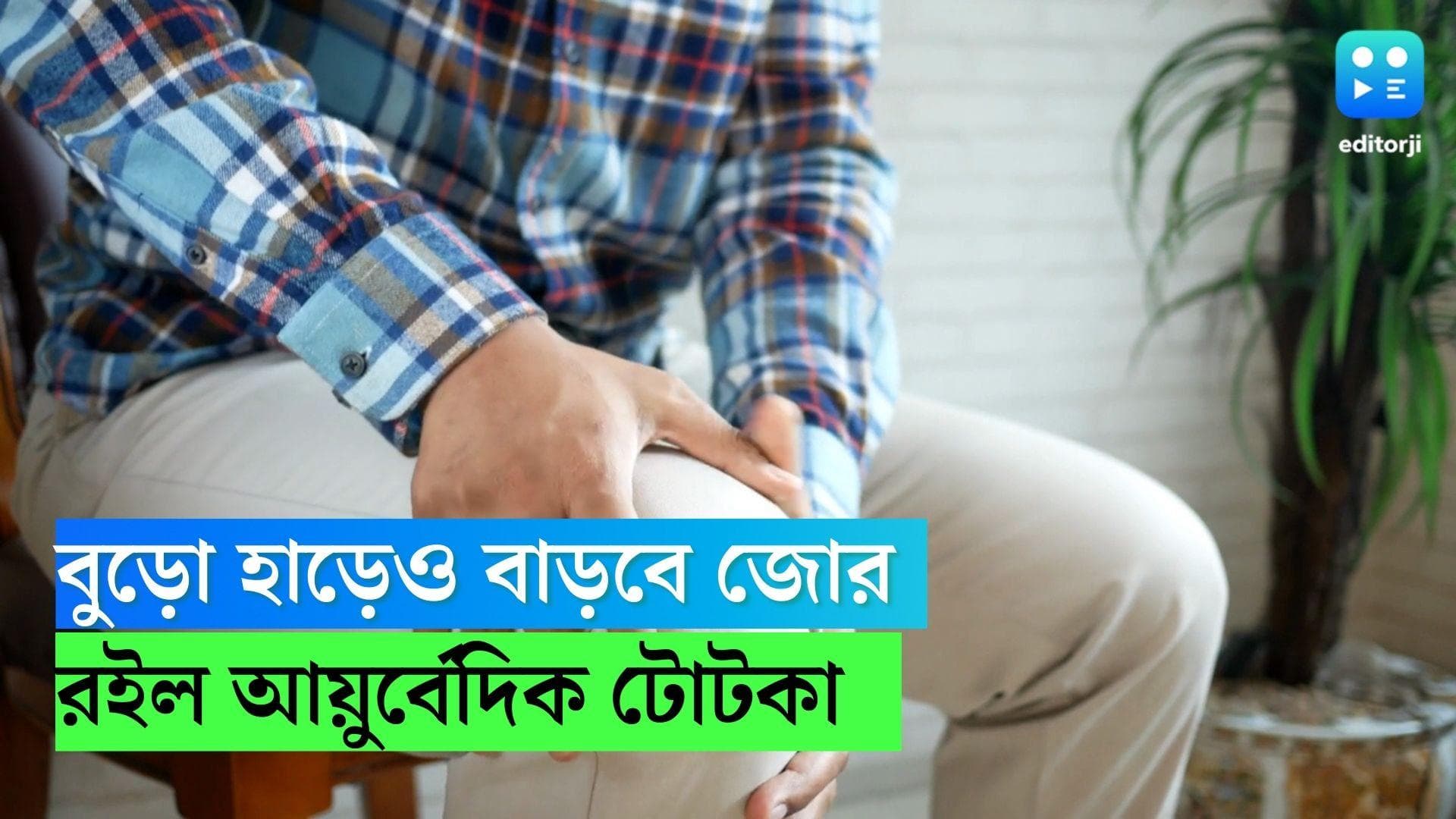 Bone Strength: ব্যথা হবে দূর, বুড়ো হাড়েও থাকবে জোর! আজ থেকেই মেনে চলুন এই আয়ুর্বেদিক পরামর্শ গুলো