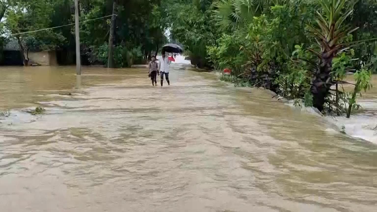 Bengal Food: ডিভিসির ছাড়া জলে দুর্ভোগ, জলের তলায় উদয়নারায়ণপুরের শতাধিক গ্রাম
