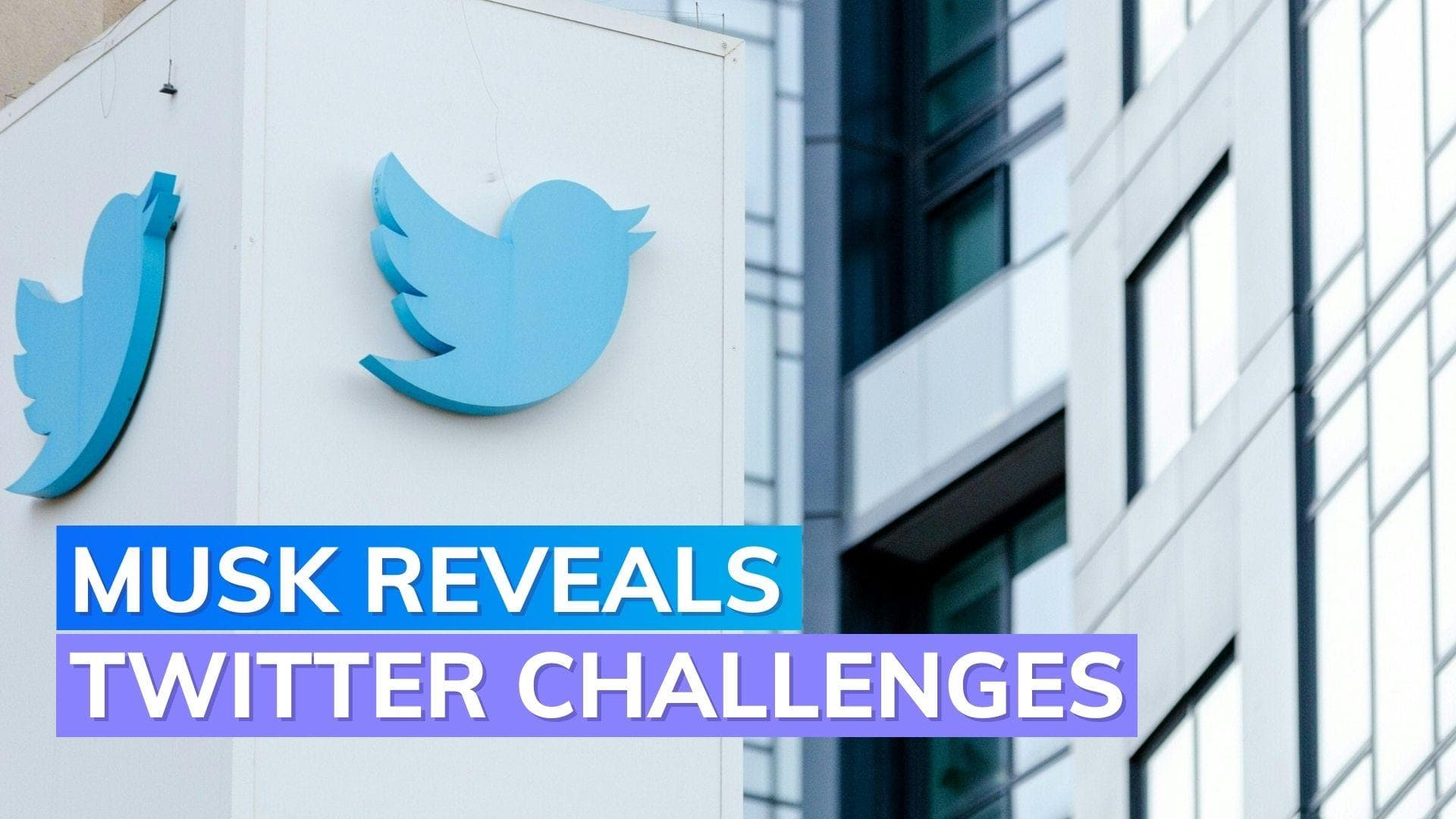 Last 3 months extremely tough: Elon Musk