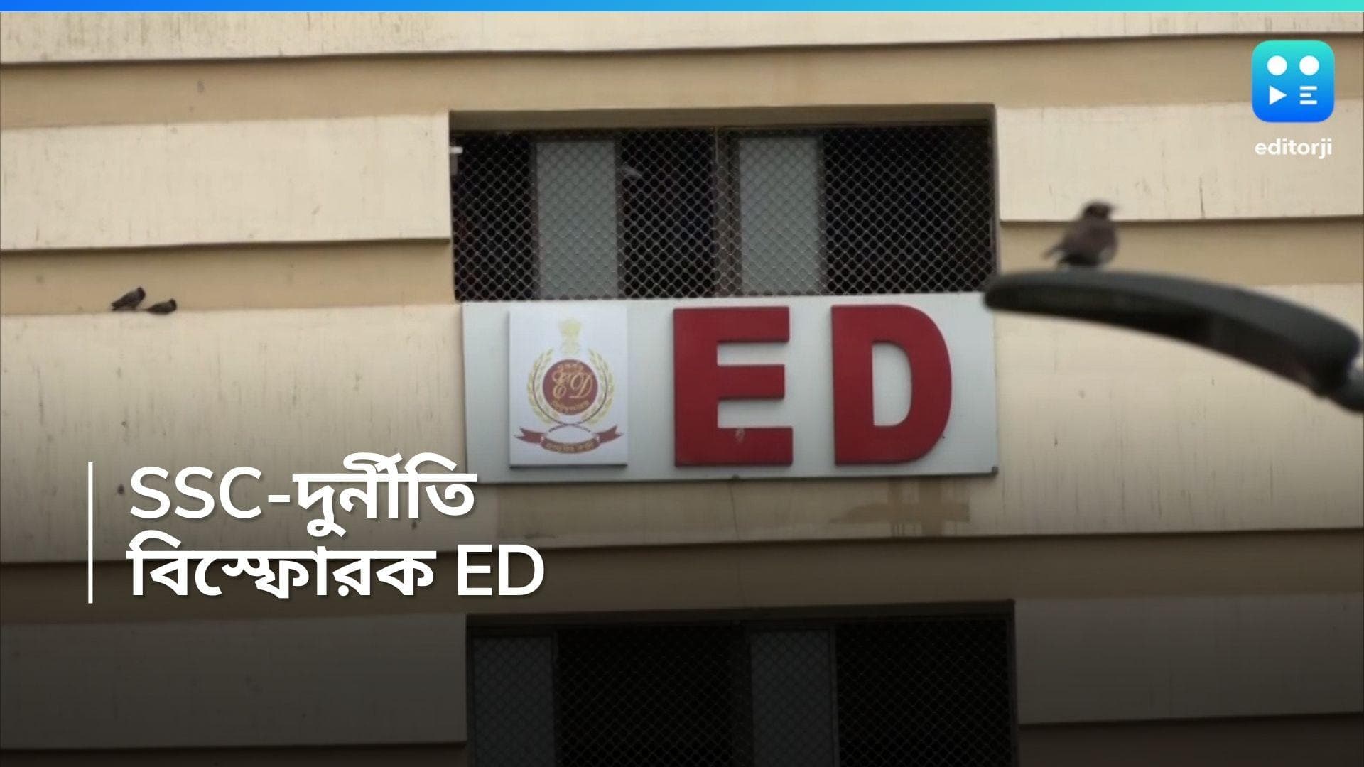 SSC Recruitment: বিক্ষোভ থামাতে আন্দোলনকারীদের বেআইনি নিয়োগের সুপারিশ করে রাজ্য, দাবি ED-র