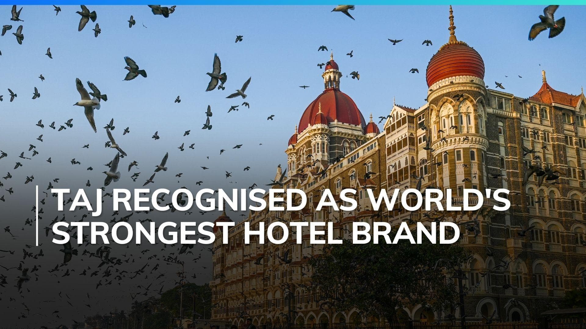 Taj hotels emerges as world's strongest hotel brand amid rapid revenue growth
