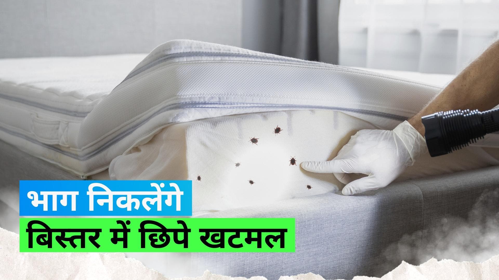 Tips and Tricks for Bed Bugs: बिस्तर के खटमल कर सकते हैं जीना हराम, छुटकारा पाने के लिए आसान टिप्स 