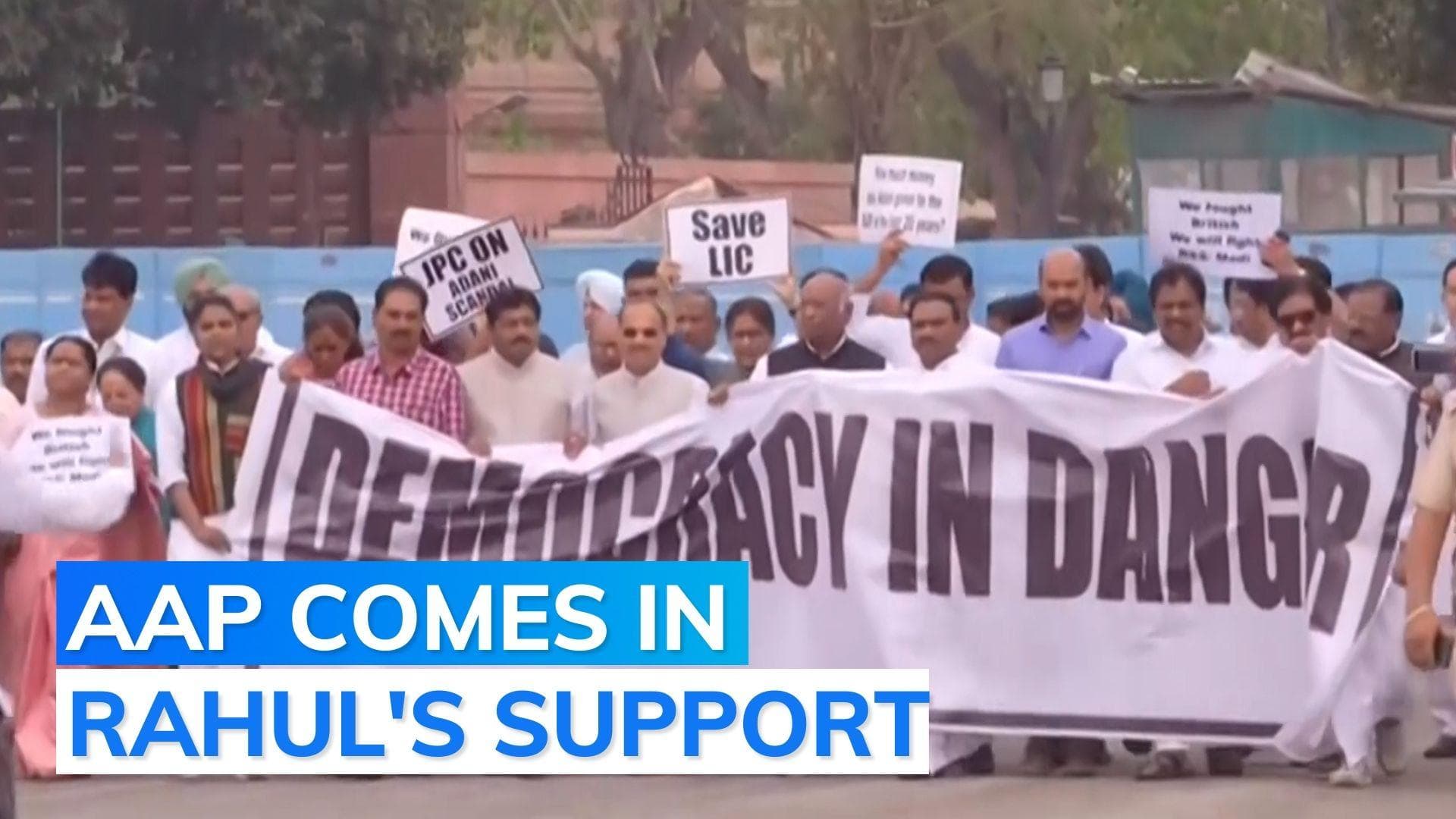 'We have our differences but Rahul's disqualification...': AAP spokesperson 