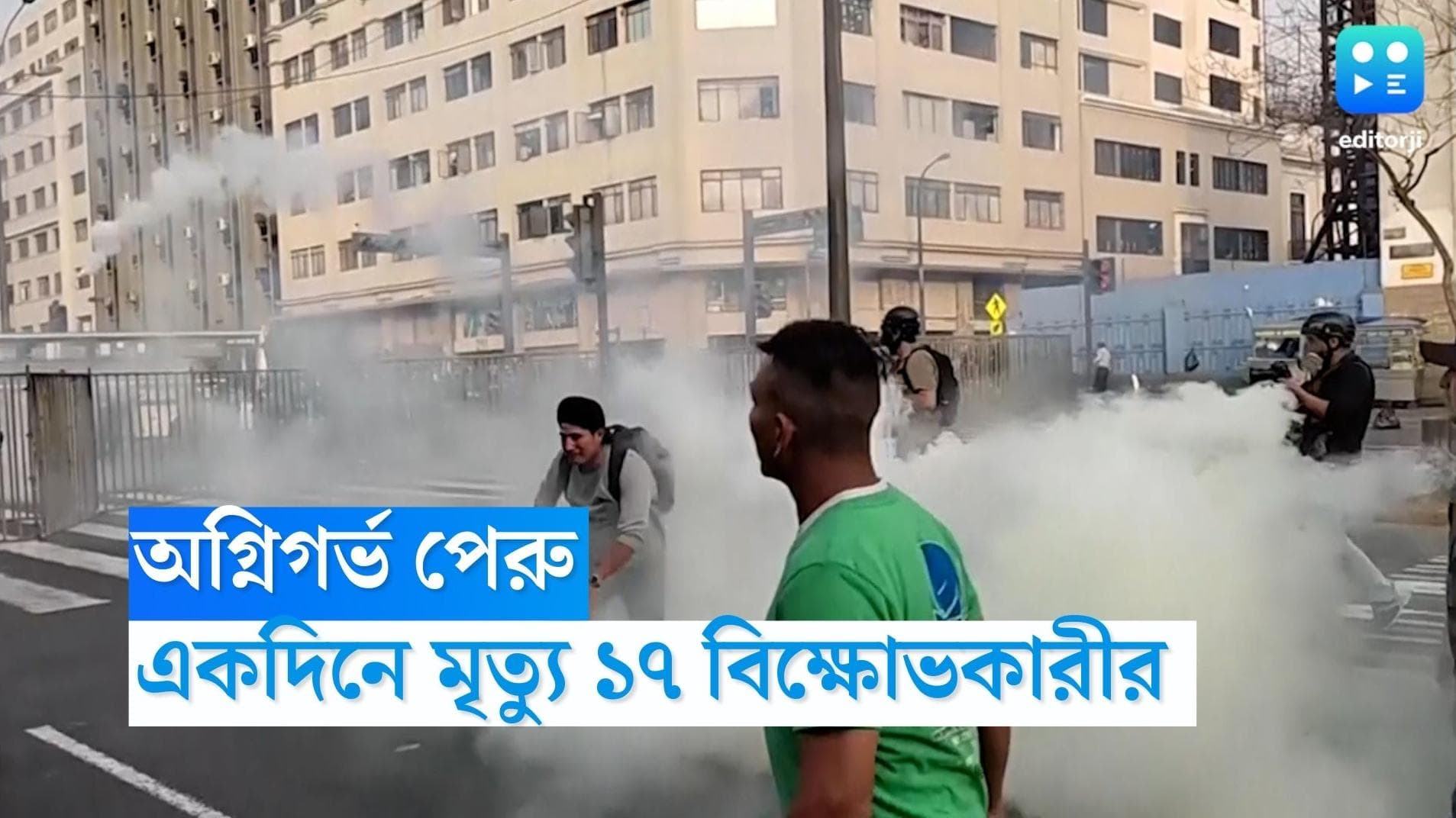 Peru Protest: সরকার বিরোধী আন্দোলনে অগ্নিগর্ভ পেরু, একদিনে মৃত্যু ১৭ জন বিক্ষোভকারীর