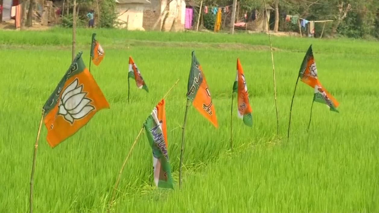 Tripura: ত্রিপুরা পুরভোটে কার্যত বিরোধীশূন্য জয়ের পথে বিজেপি, 'সন্ত্রাস' নিয়ে কটাক্ষ বাম-তৃণমূলের