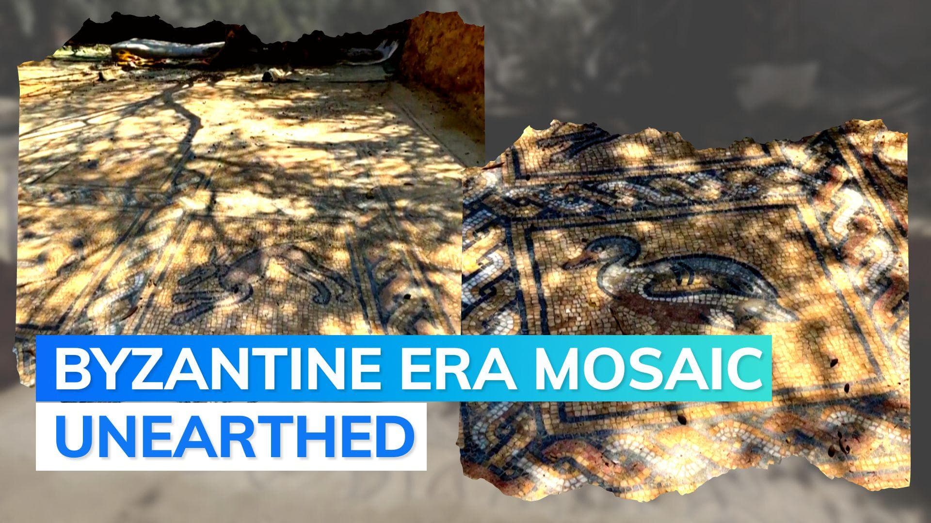 Gaza farmer discovers ancient treasure while planting olive tree