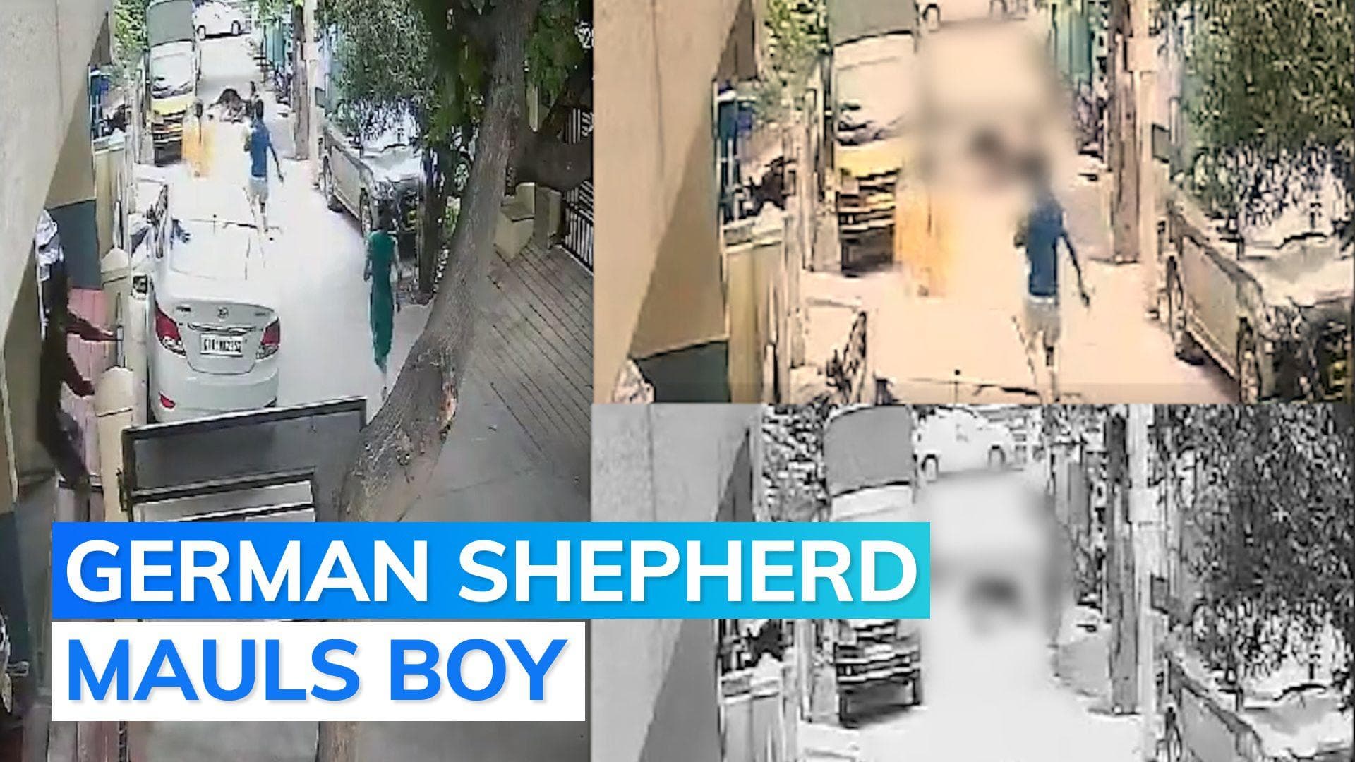 Caught on cam: pet dog attacks kid on road in Bengaluru society