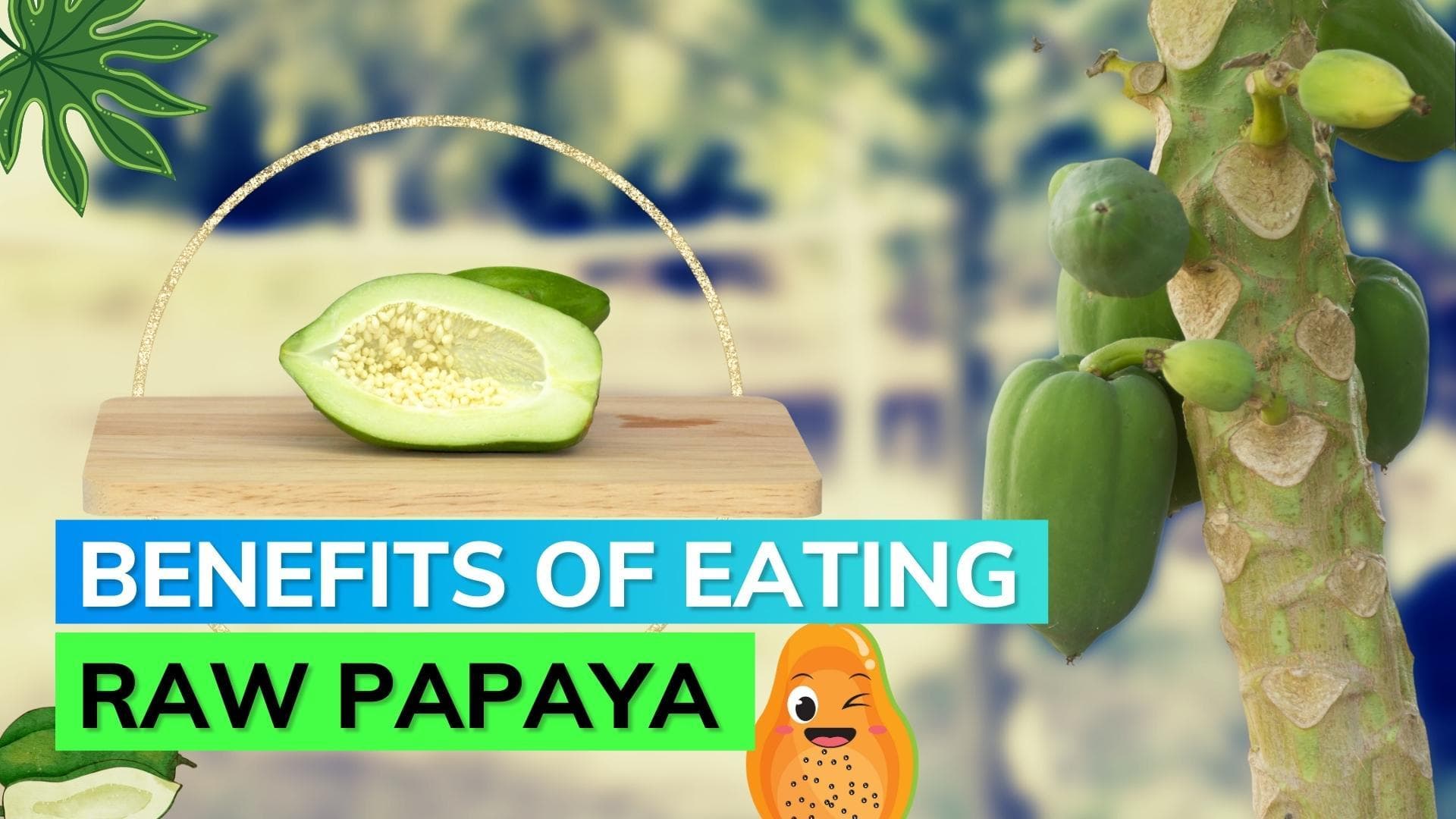 Raw Papaya: Don't wait for papaya to get ripe, you can eat it raw too. Know its amazing health benefits