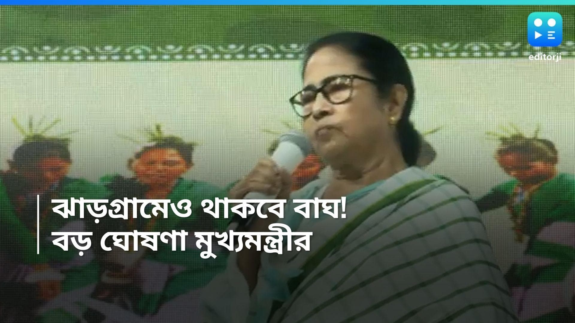 Jhargram tiger reserve: ঝাড়গ্রামে চালু হবে টাইগার সাফারি, সরকারি অনুষ্ঠানে ঘোষণা মুখ্যমন্ত্রীর