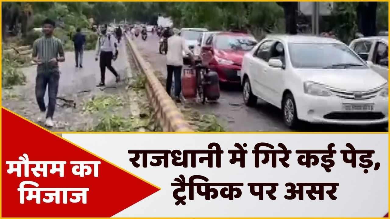 Weather Update : बारिश में दिल्ली बेहाल, 100km की रफ्तार वाली हवा ने सैकड़ों पेड़ गिराए