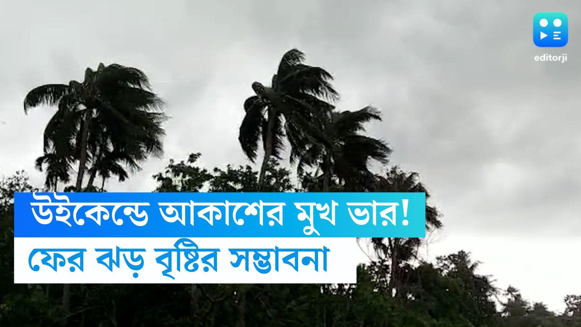 WB Weather Update: উইকেন্ডের প্ল্যান বানচাল, রবিবার আবহাওয়ার ভোল বদল, ফের ঝেঁপে বৃষ্টি শহর কলকাতায়