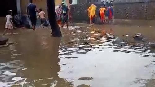 Birbhum flood situation: অজয় কেড়েছে মাথার ছাদ, এরপর কী হবে? চরম সঙ্কটে বীরভূমবাসী