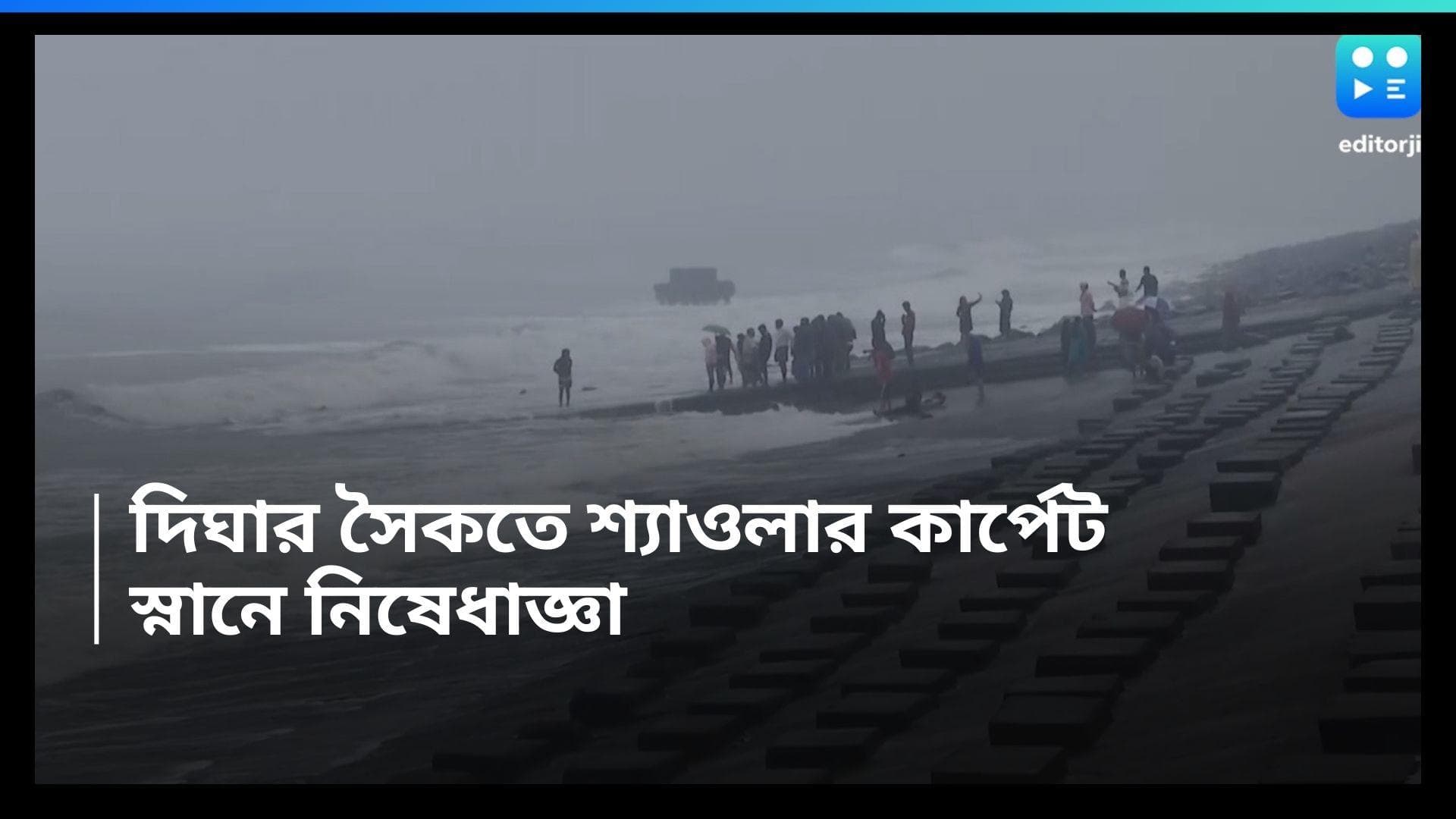Digha : দিঘার সমুদ্রতটে শ্যাওলার কার্পেট, পা ফেললেই বড় বিপদ! সমুদ্রে স্নানে নিষেধাজ্ঞা 
