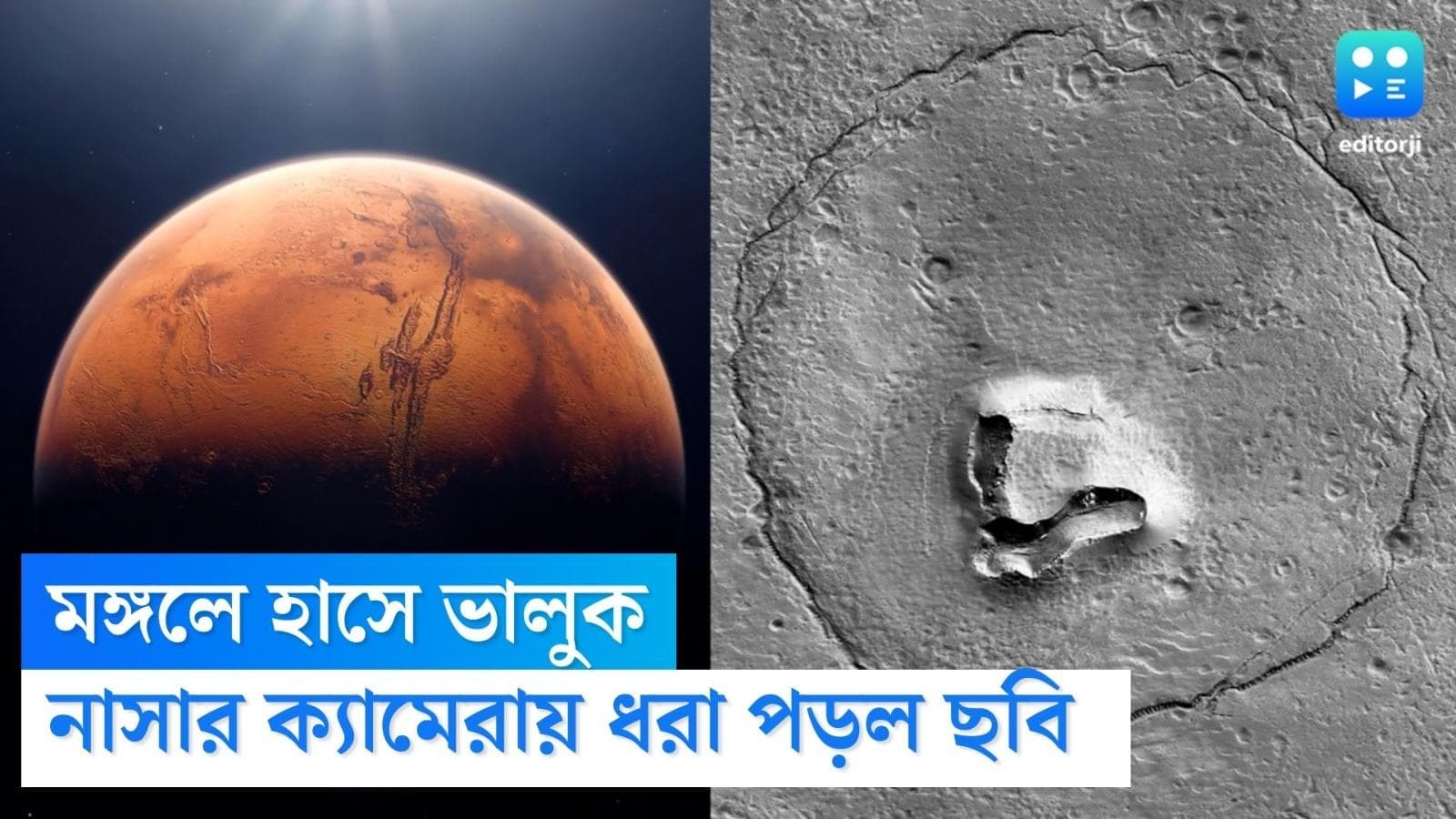Bear in Mars : লালগ্রহের মাটিতে 'ভালুক'-এর দেখা ! নাসার ক্যামেরায় সেই ছবি দেখেছেন ?