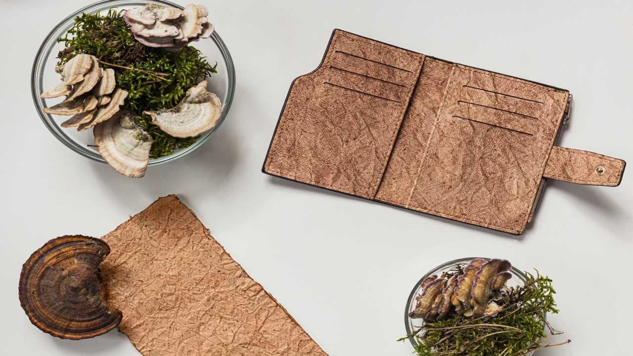 A new type of vegan leather in town; and it's made from mushrooms!