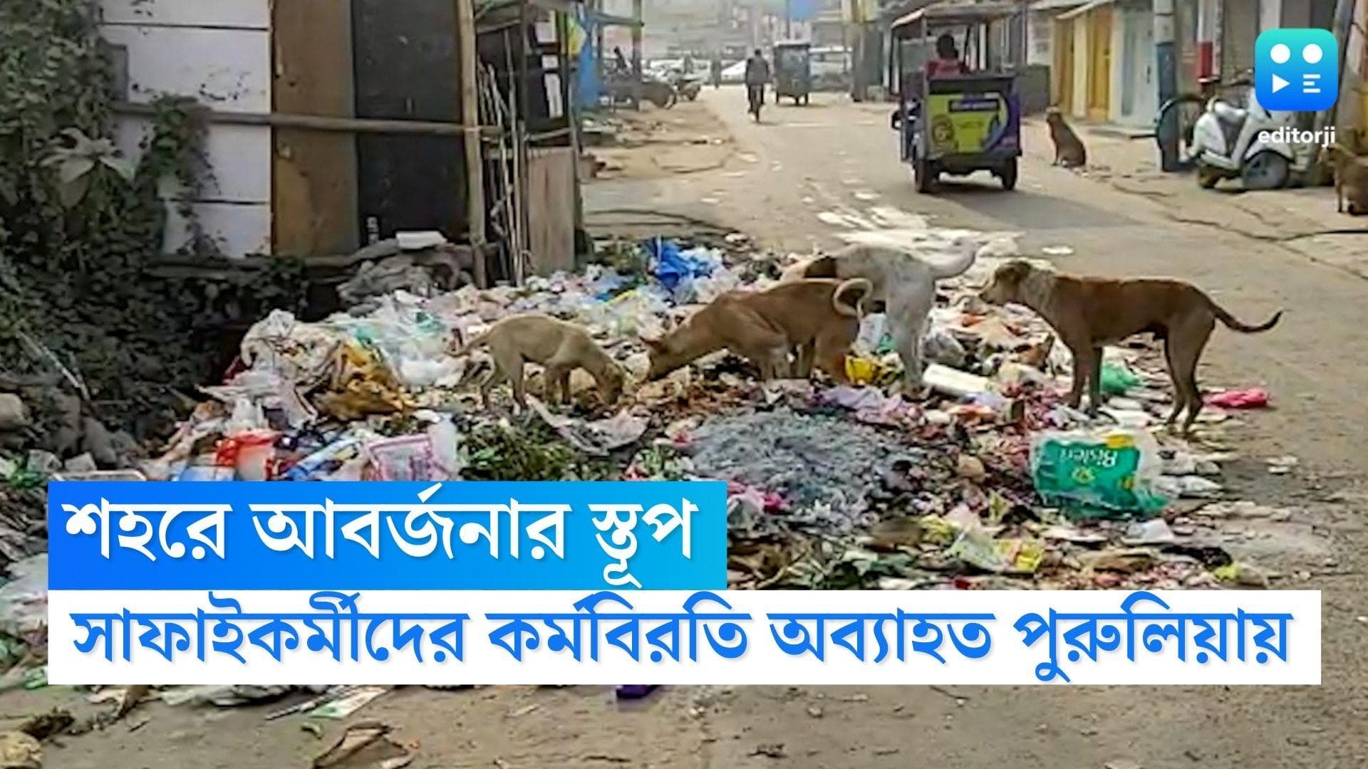 Purulia Municipality: শহরের অলিগলিতে জঞ্জালের স্তূপ, সাফাইকর্মীদের টানা কর্মবিরতিতে 'বিপর্যস্ত' পুরুলিয়া