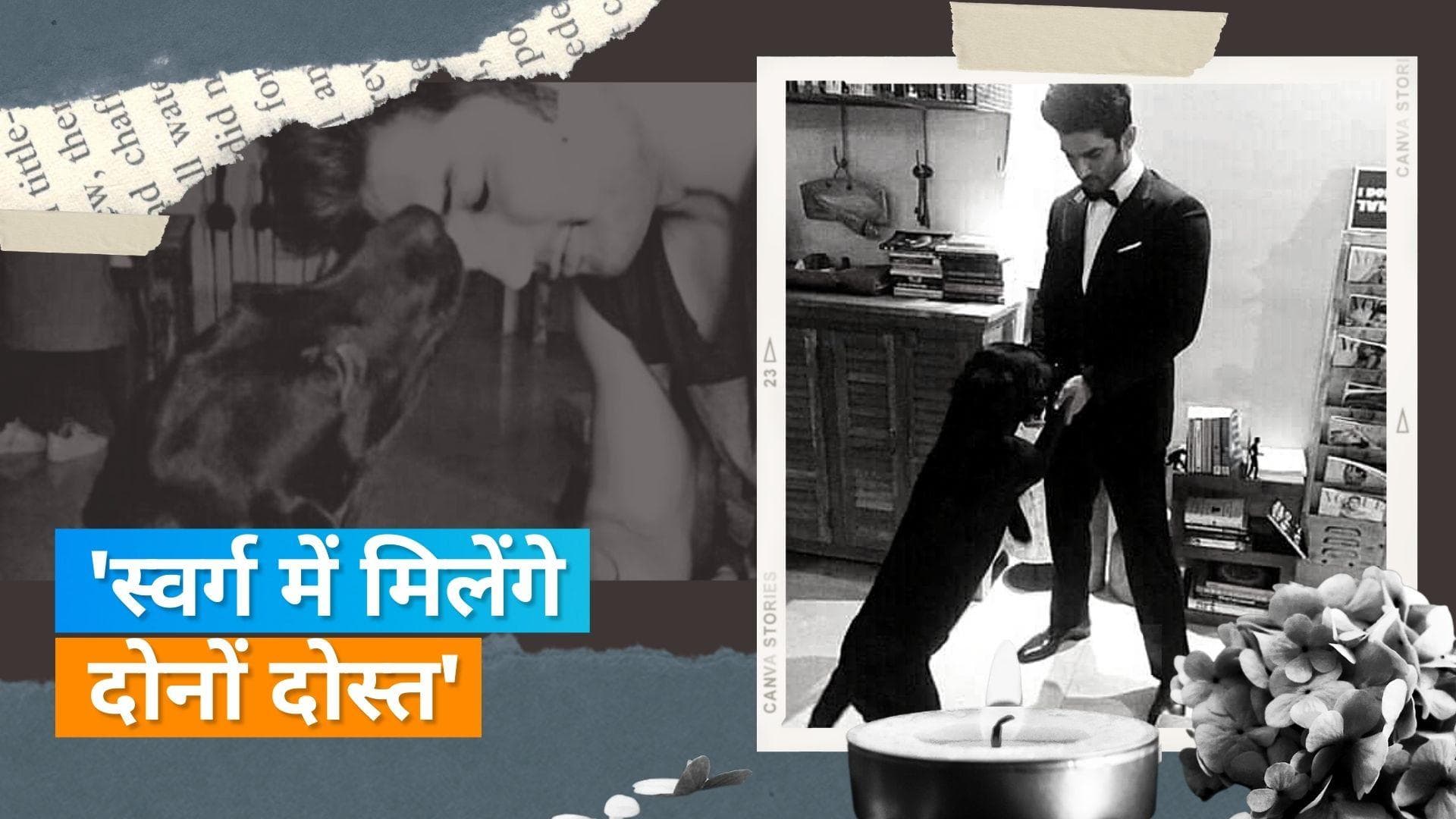 Sushant Singh Rajput के डॉग फज का हुआ निधन, बहन Priyanka Singh ने दी जानकारी 