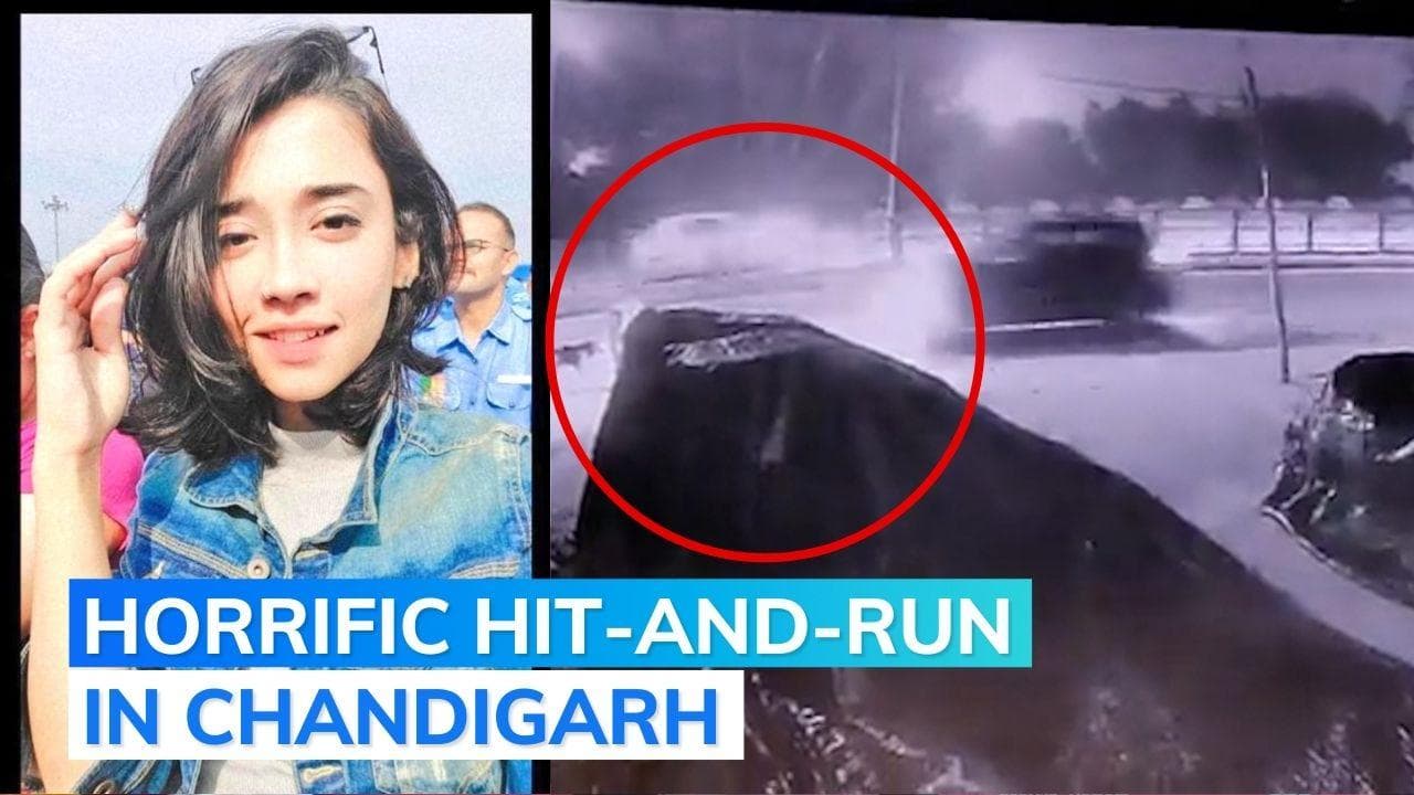 Caught on cam: Chandigarh woman feeding stray dog hit by speeding SUV 