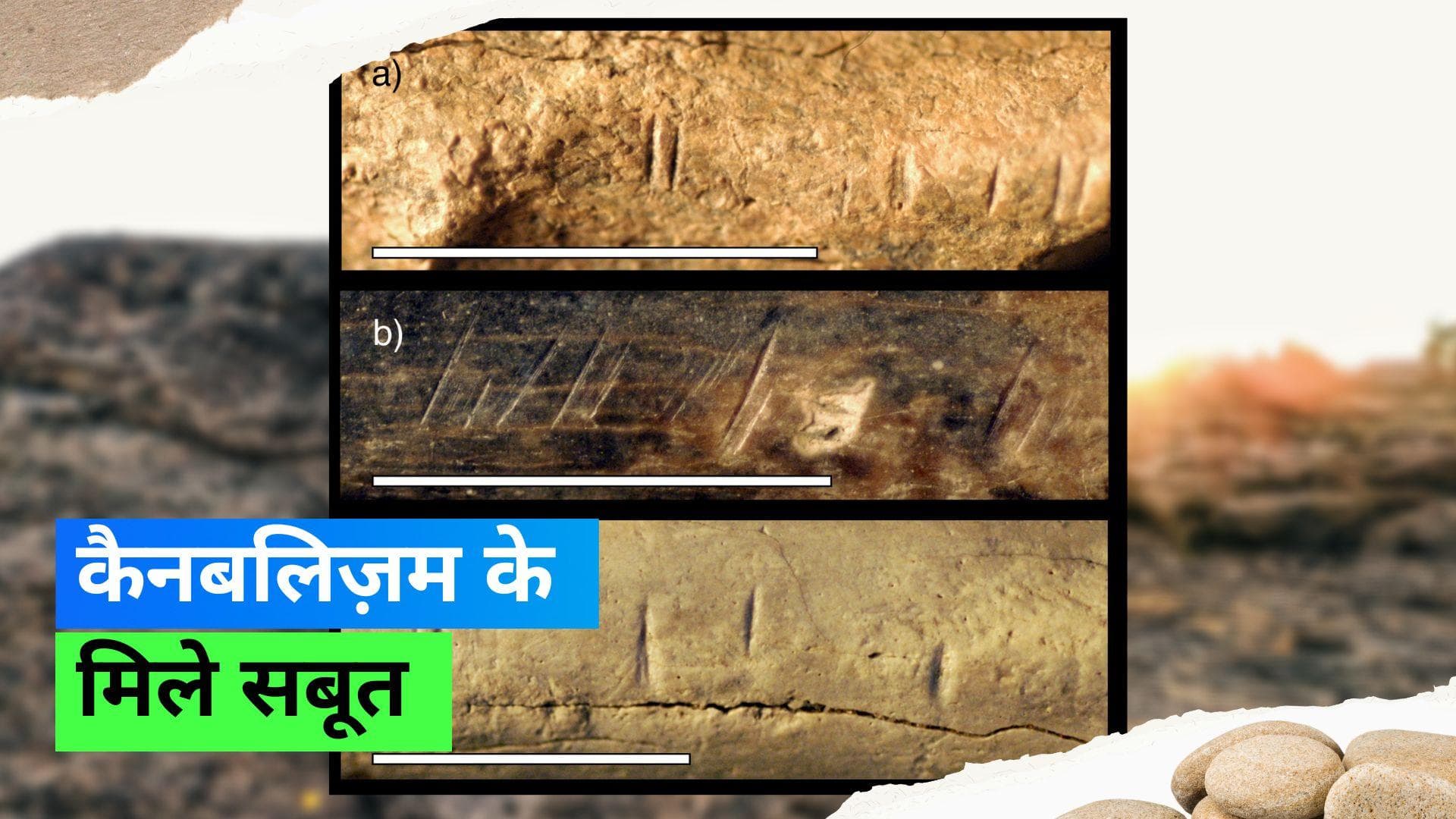 Cannibalism: 1.45 मिलियन साल पहले इंसान जिंदा रहने के लिए एक-दूसरे को खाते थे, रिसर्च में आया सामने... 