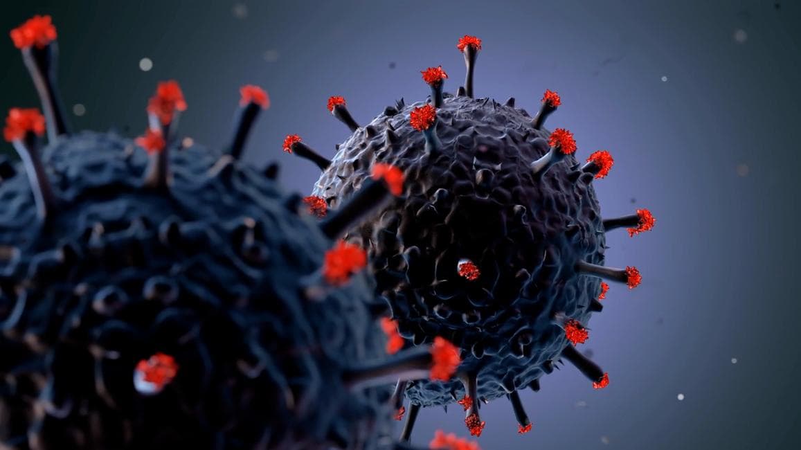 Omicron Variant: দেশে ওমিক্রনে আক্রান্ত হলেন ২১ জন, দিল্লি ও রাজস্থানে হানা কোভিডের নয়া প্রজাতির