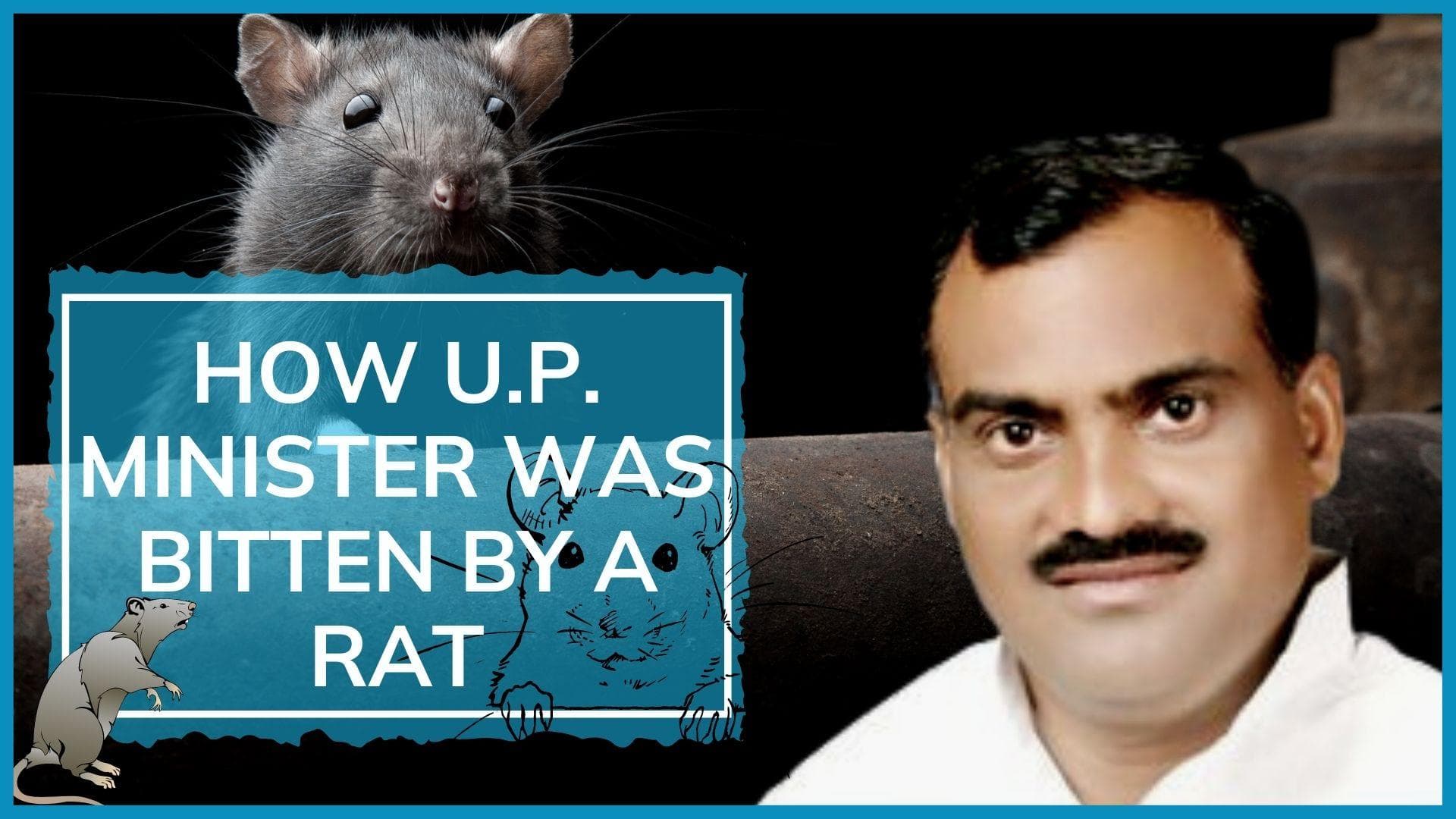 Rat bites UP minister amid CM Yogi Adityanath's order to not stay at hotels during tours