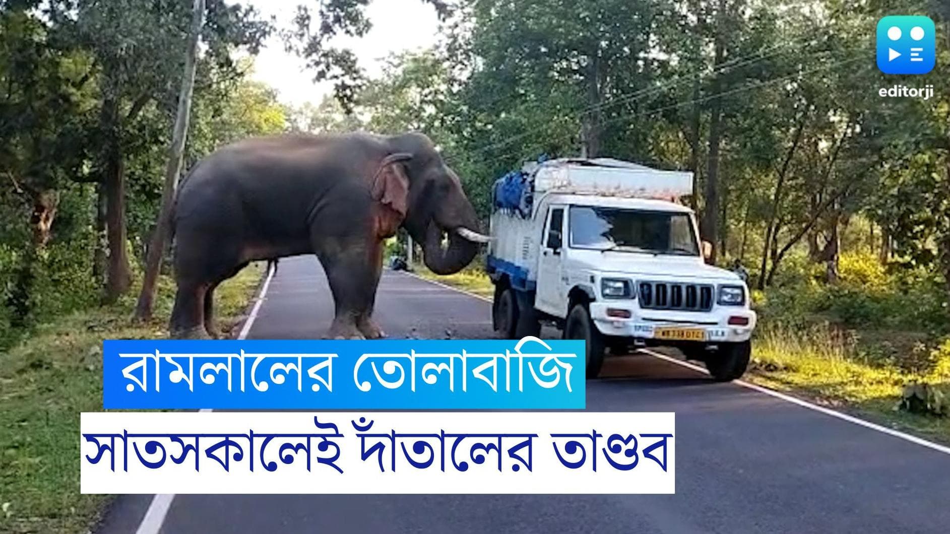 Elephant: সাতসকালে রামলালের 'তোলাবাজি', দাঁতাল হাতিকে জঙ্গলে ফেরালেন বনকর্মীরা