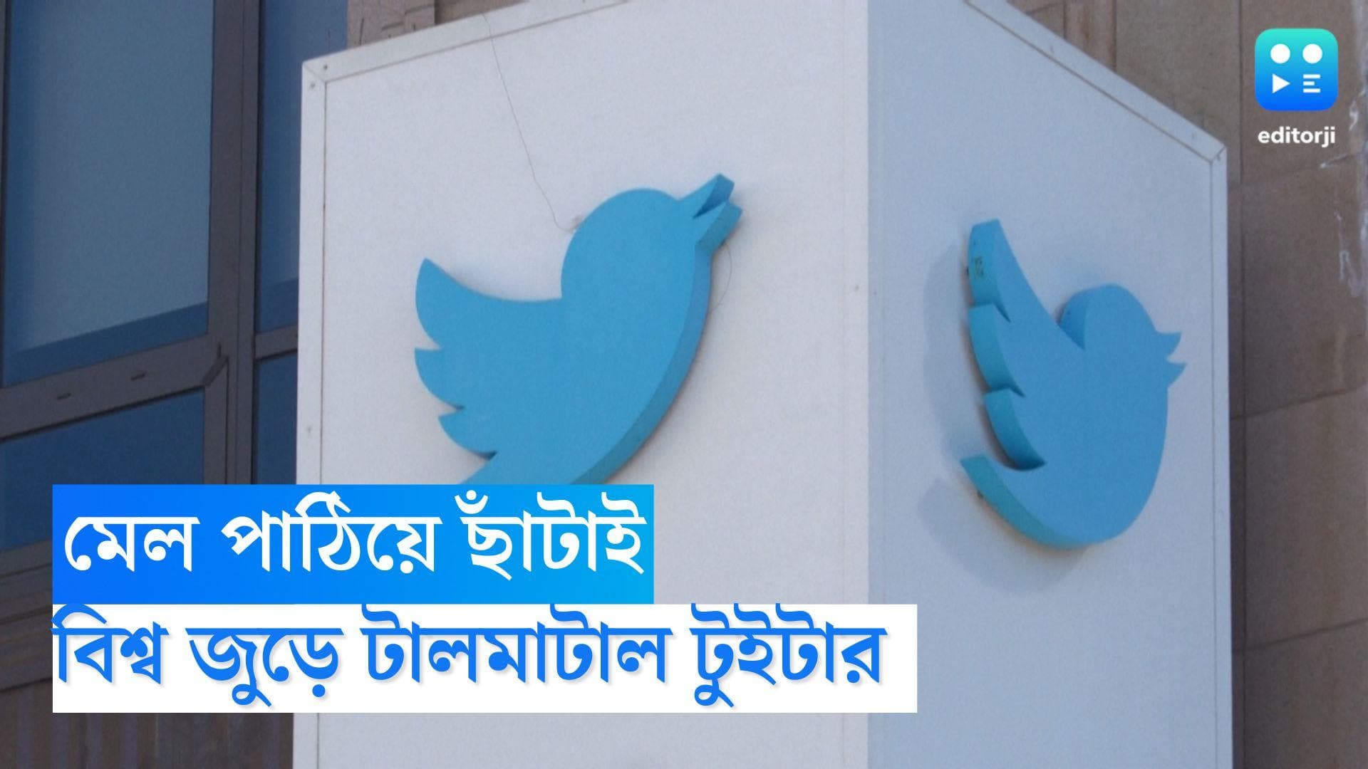 Twitter Elon Musk: চাকরি আছে না গেছে, মেল পাঠাবে টুইটার, এক ঘণ্টা ব্যাহত পরিষেবা