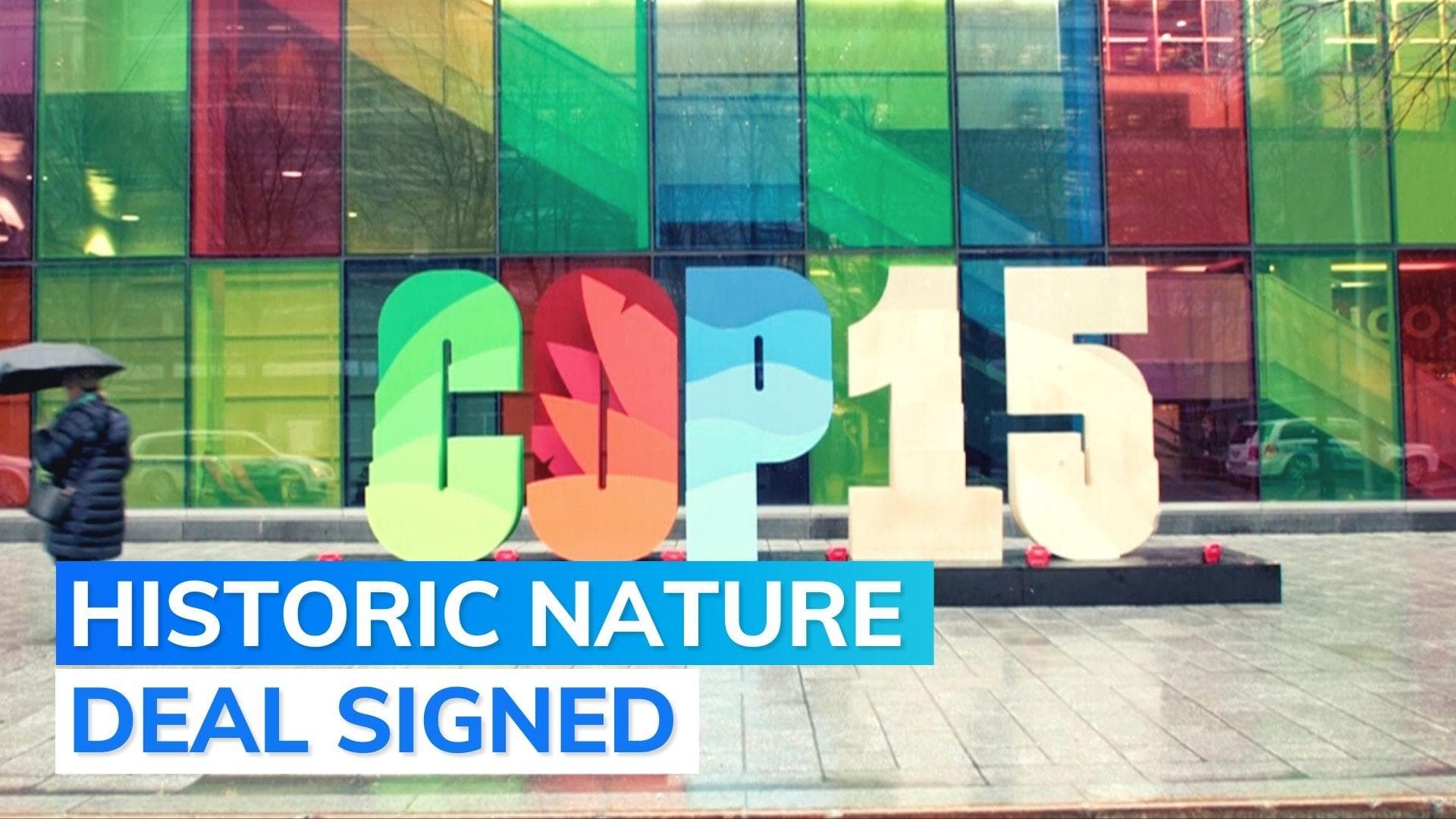 COP 15: Countries agree to achieve '30 by 30' goal 