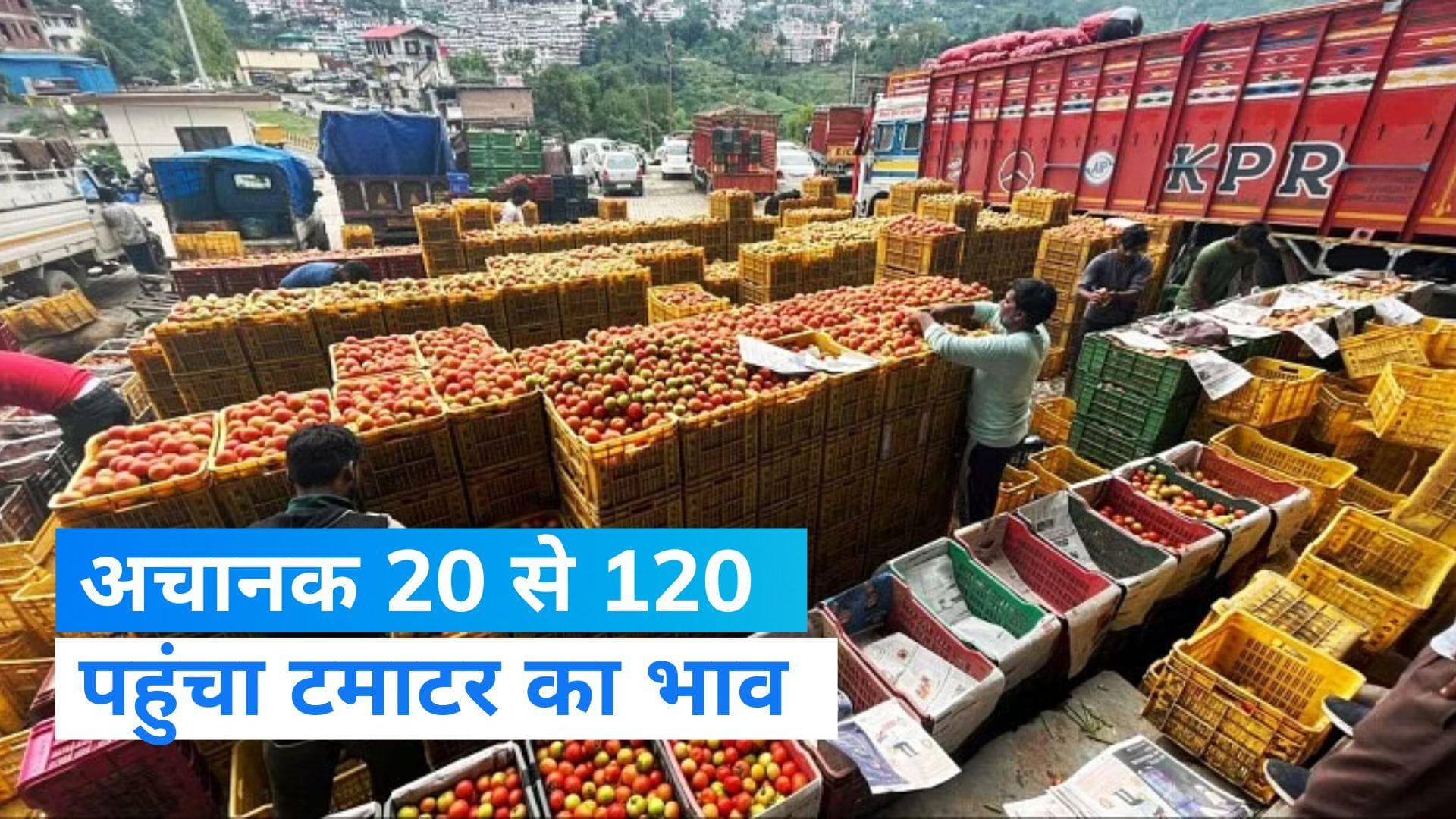 Vegetable Price Hike: टमाटर हुआ गुस्से से 'लाल', क्यों बढ़े अचानक दाम?- जानिए