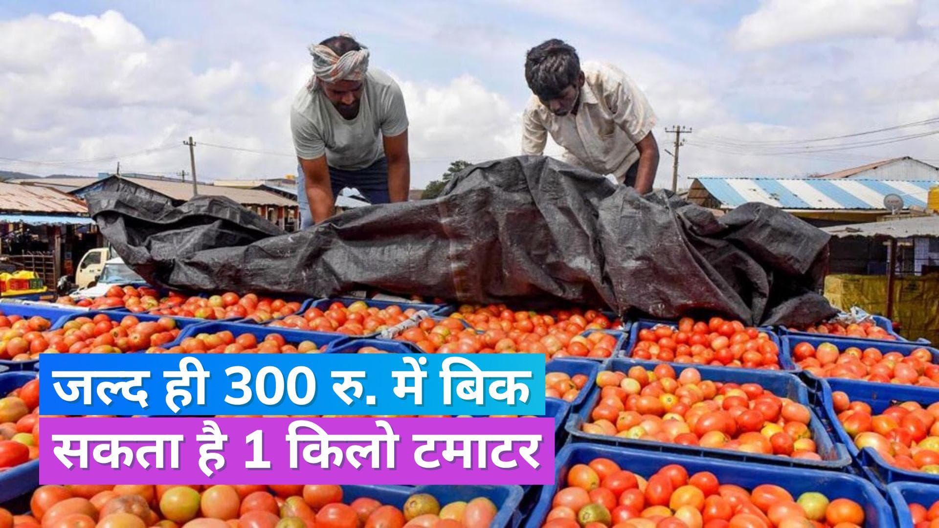 Tomato Price: टमाटर की कीमतों में फिर आया उछाल, दिल्ली में मदर डेयरी के स्टोर पर टमाटर ₹259 प्रति किलो