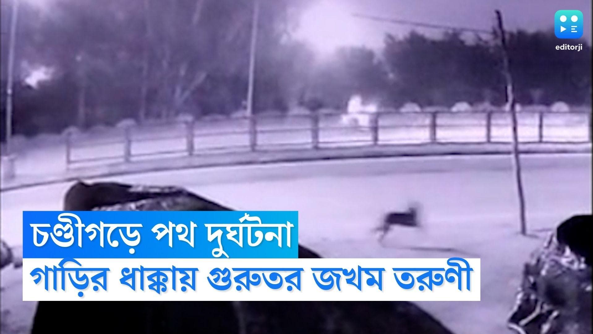 Chandigarh Road Accident: আলো-আঁধারি রাস্তায় কুকুরকে খাওয়াচ্ছিলেন তরুণী, ধেয়ে এল দ্রুত গতির গাড়ি, তারপর..