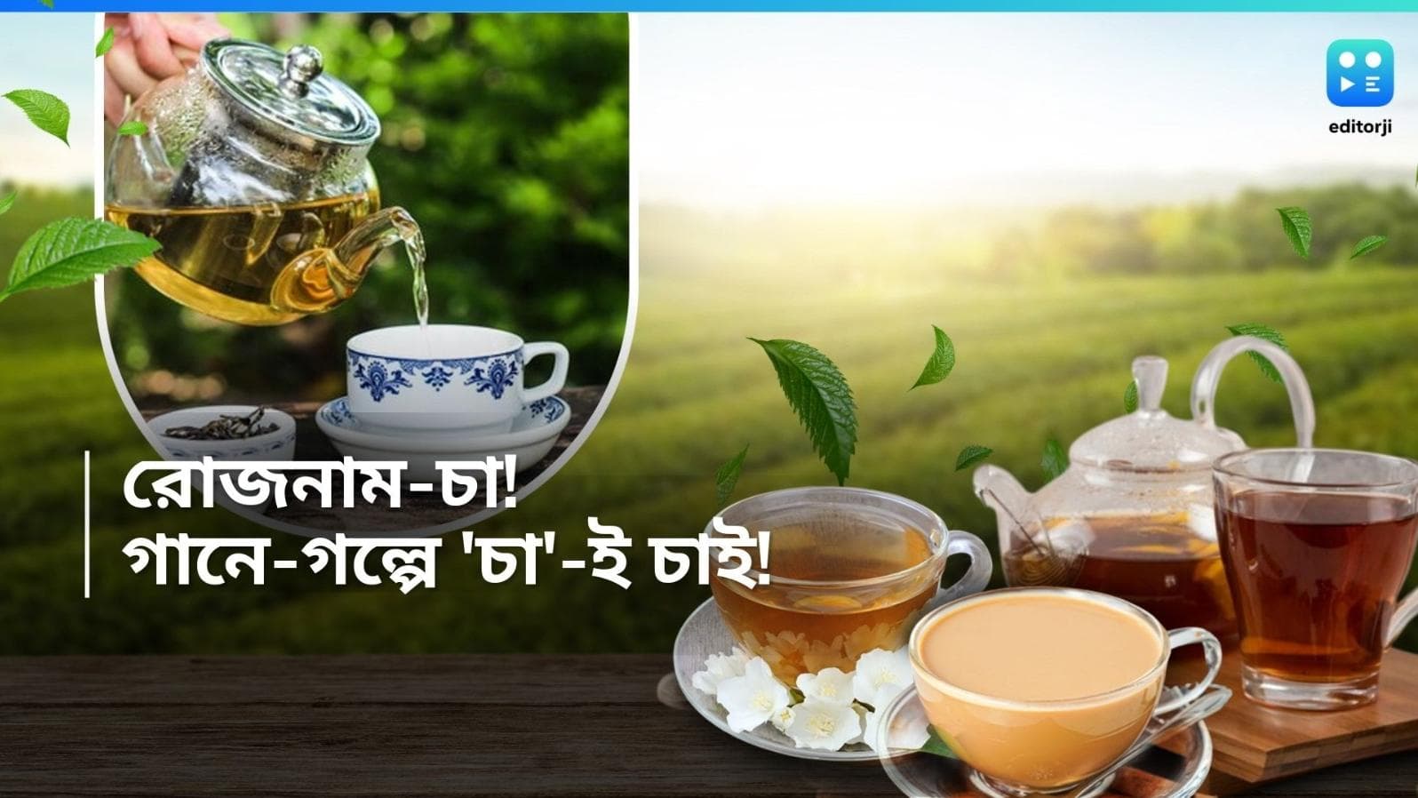 International Tea Day: চায়ের ফ্লেভার মন মতো হয়নি! টেপিডোফোবয়ায় আক্রান্ত নন তো আপনি?