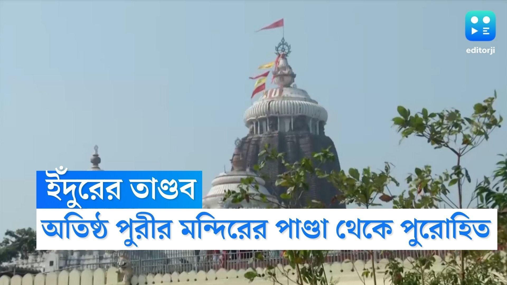 Puri Temple Rat Attack: ইঁদুরের তাণ্ডবে অতিষ্ঠ পুরী, দাঁতের ধার থেকে ছাড় পেল না দেবতার পোশাকও