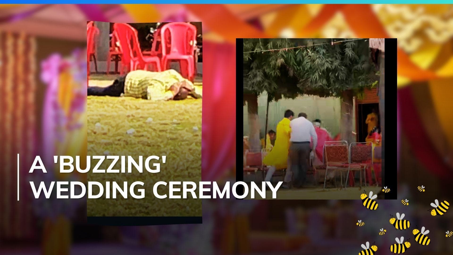 Bees attend Madhya Pradesh wedding, guests run for cover | Watch
