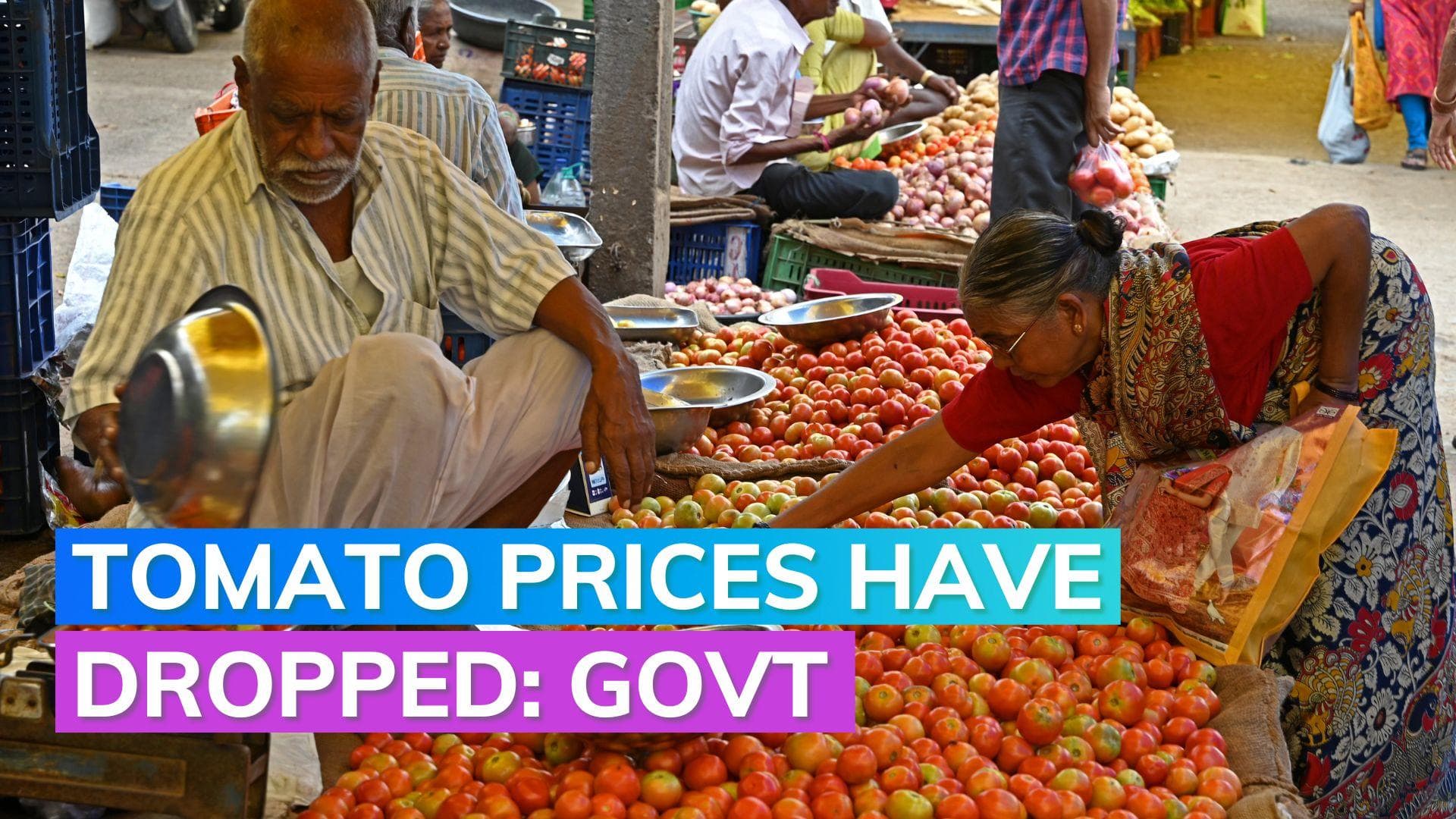 Tomato price surge: cooling down with fresh arrival says govt