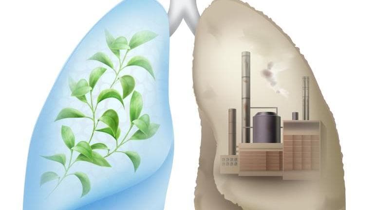 प्रदूषण पहुंचा रहा है आपके फेफड़ों को नुकसान...डाइट में करें कुछ बदलाव 