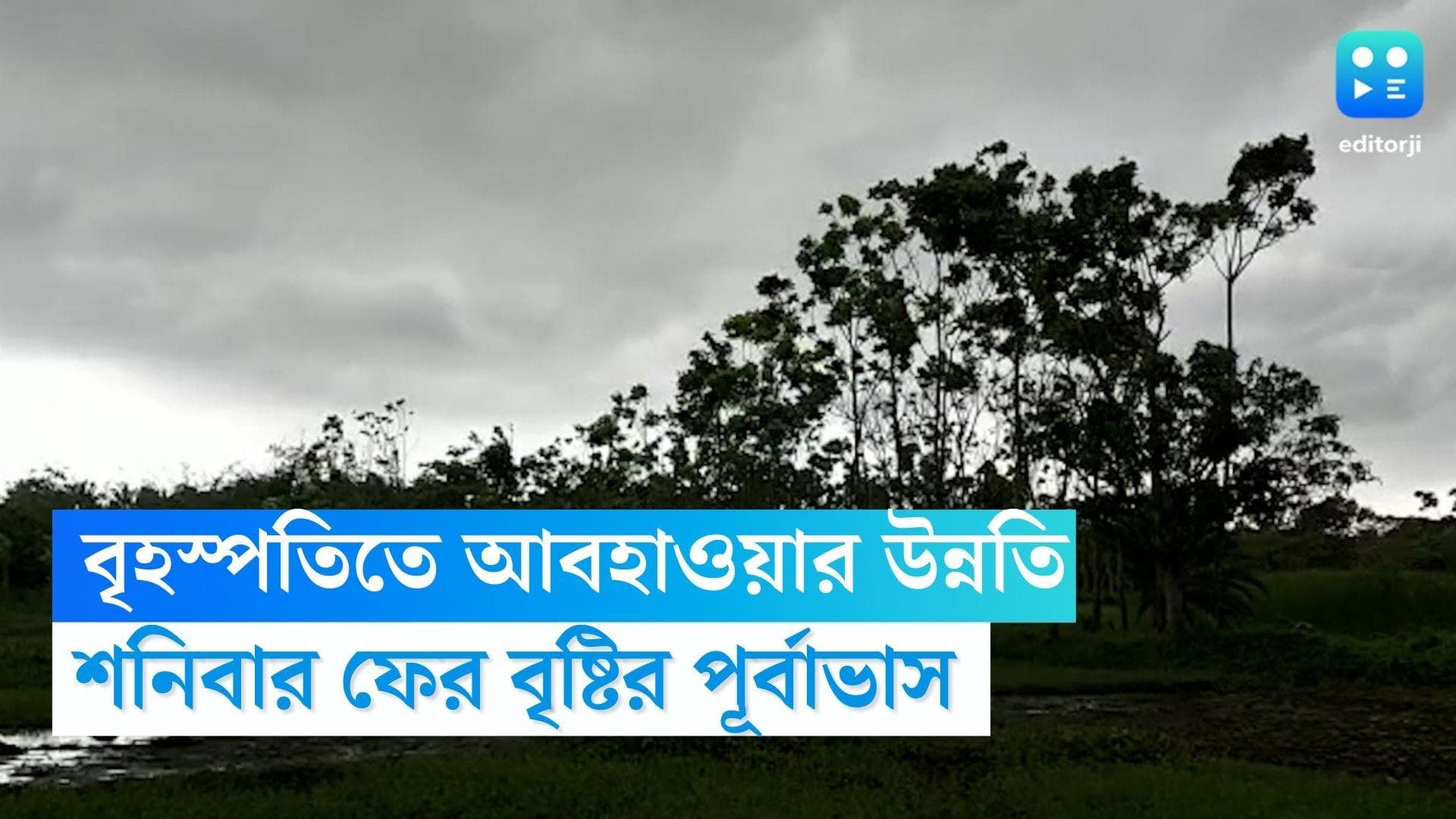 West Bengal Weather Update: বৃহস্পতি থেকে আবহাওয়ার উন্নতি, বাড়বে তাপমাত্রা, শনিতেই ফের দুর্যোগের আশঙ্কা