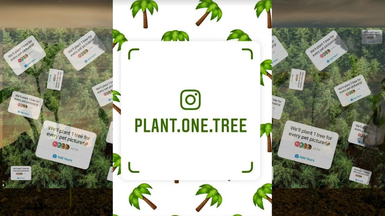 EJ Explains: What is viral instagram trend 'we’ll plant 1 tree for every pet picture'?
