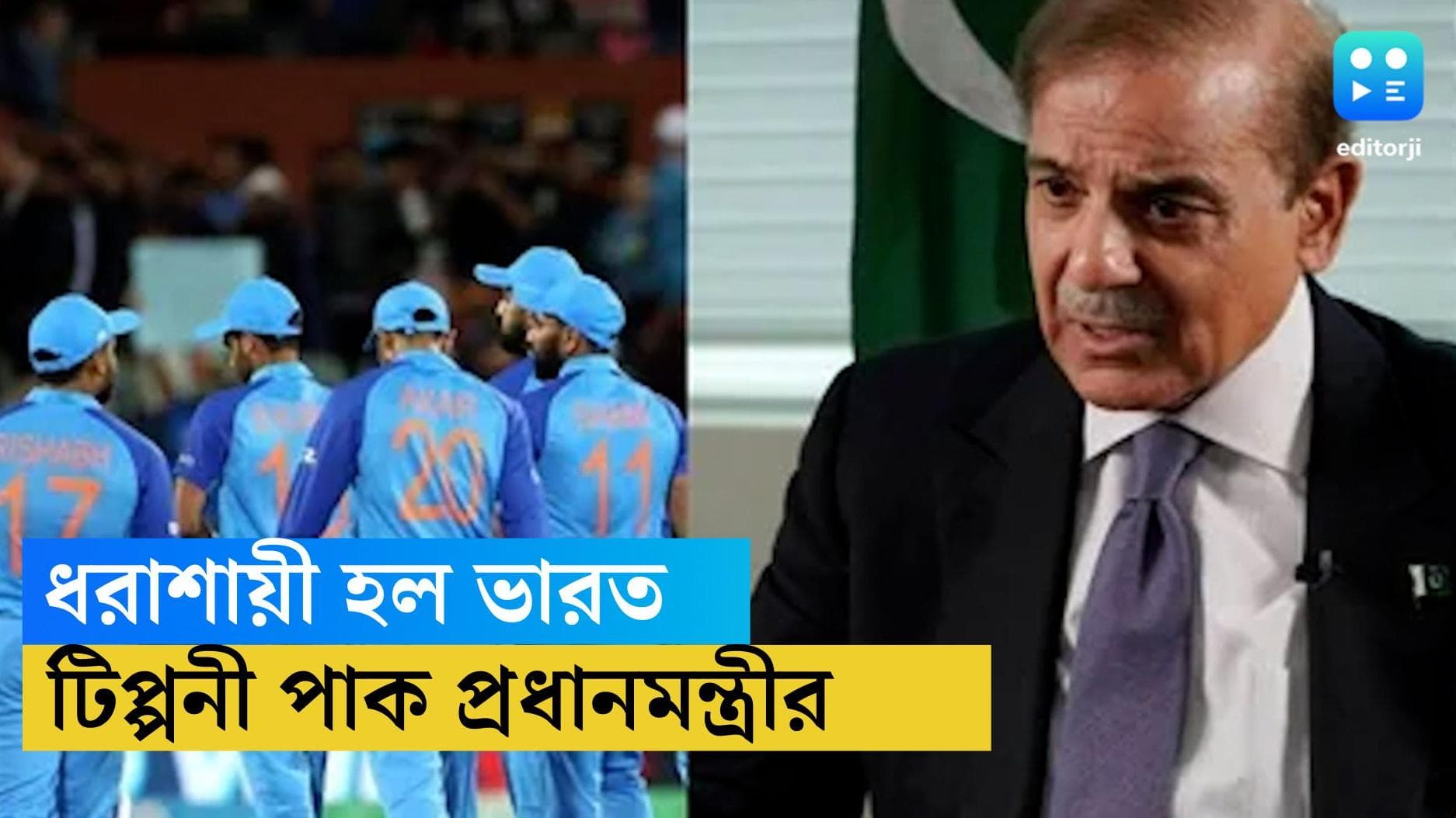 Shehbaz Sharif on India: ইংল্যান্ডের কাছে লজ্জার হার ভারতের, টিপ্পনী কাটলেন স্বয়ং পাক প্রধানমন্ত্রীও
