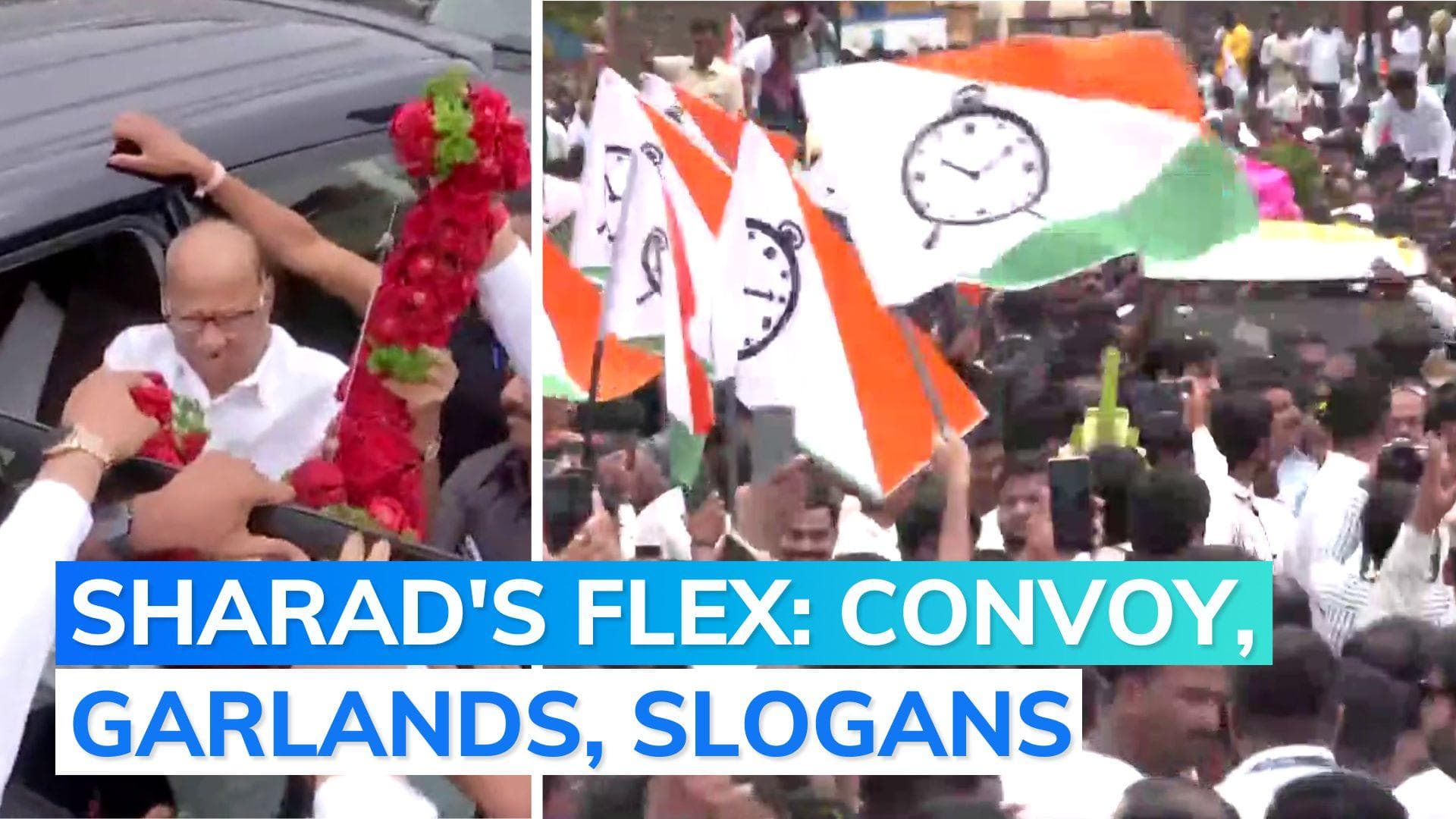 NCP split: Sharad Pawar's show of strength as he travels to Karad, day after Ajit Pawar's mutiny