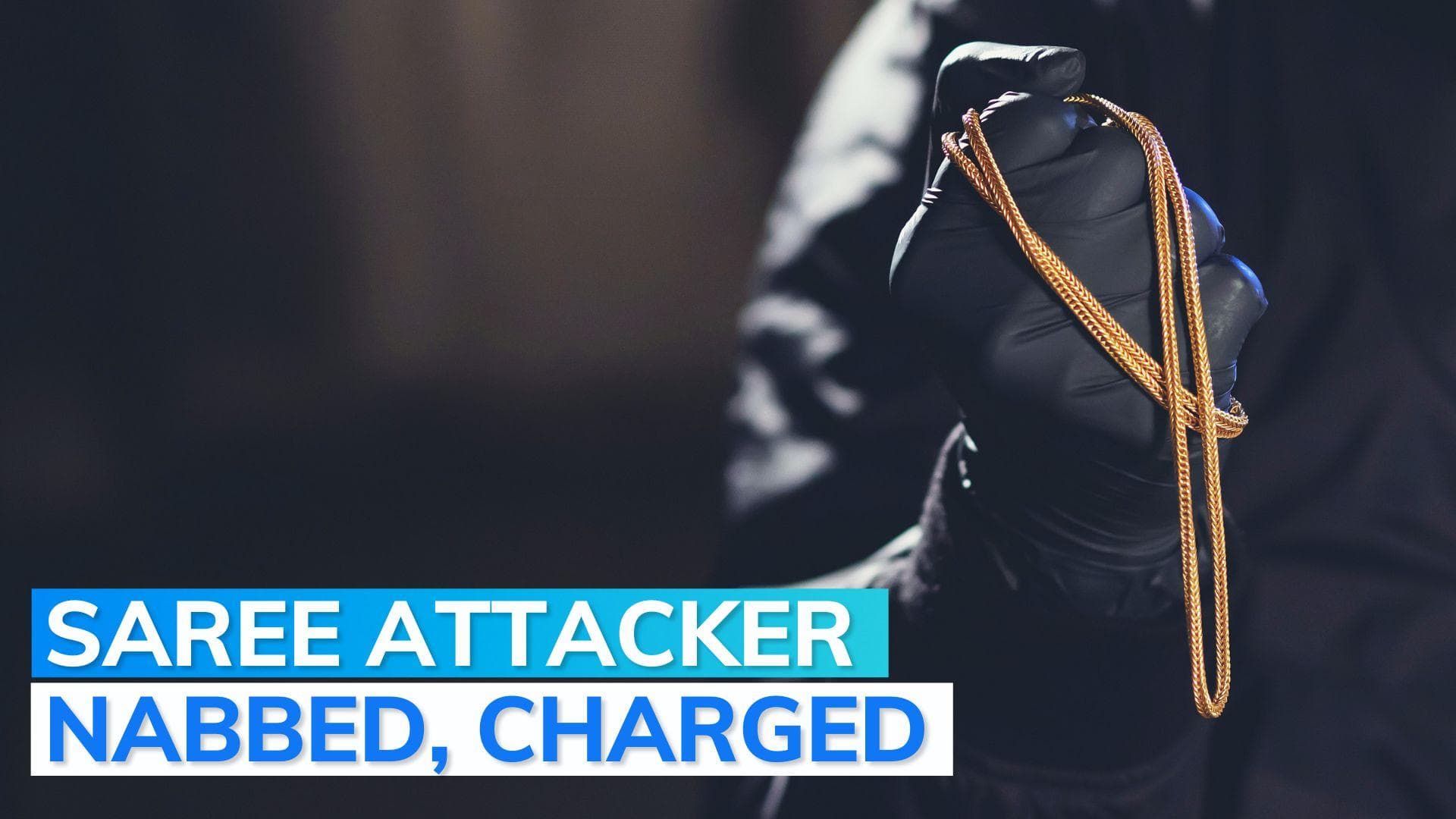 US man charged with hate crime over targeting 14 saree-clad Hindu women