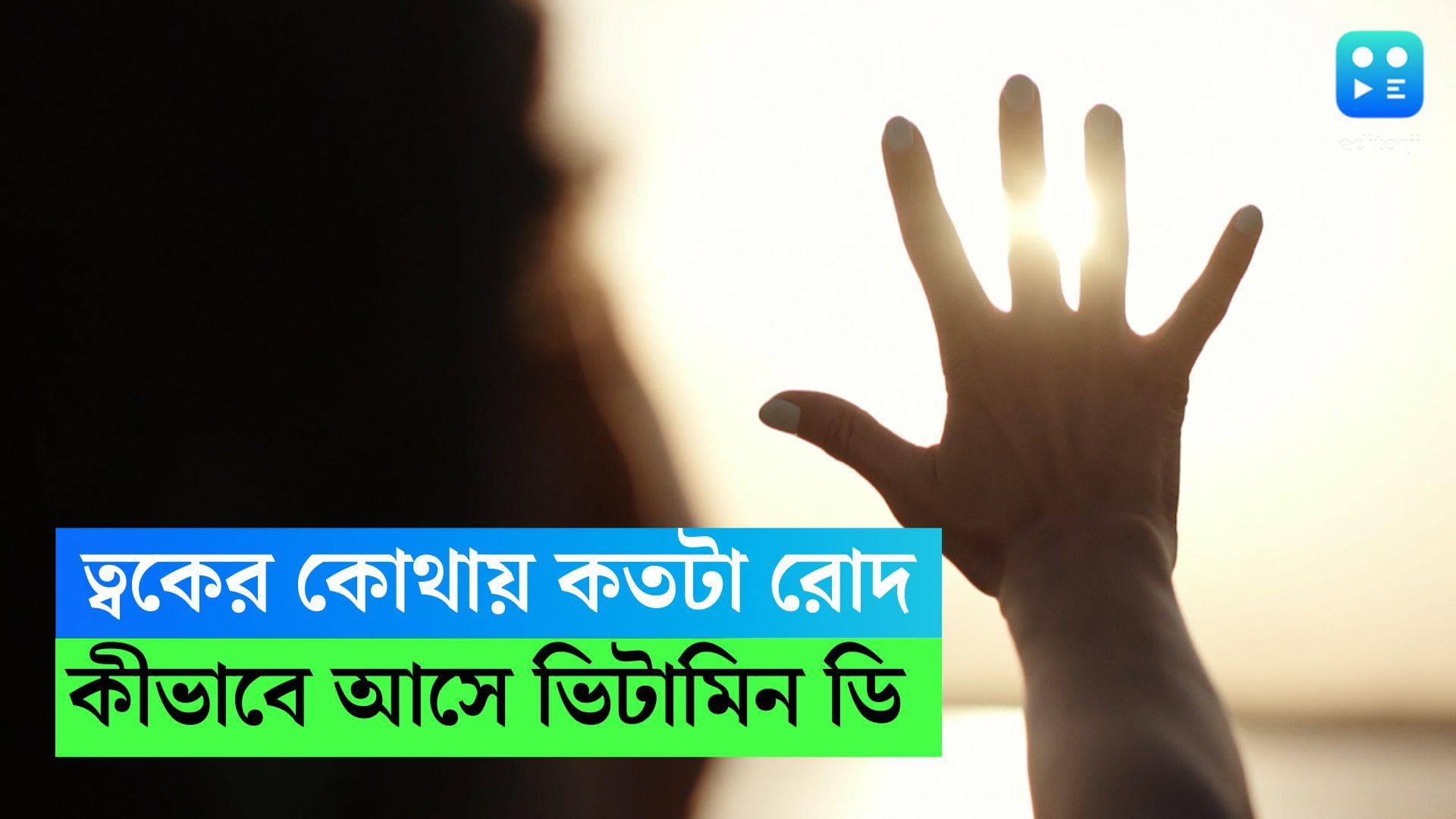 Vitamin D Absorption: ত্বকের কোথায় কখন কতটা রোদ লাগালে ভিটামিন ডি পাবেন? জানুন বিশেষজ্ঞদের মত