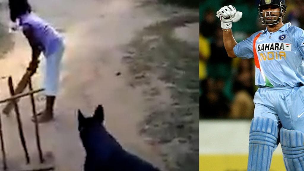 Sachin Tendulakar shared viral video: কুকুরের উইকেটকিপিং আর ফিল্ডিং দেখে 'অভিভূত' সচিন, টুইট করলেন ভিডিয়ো