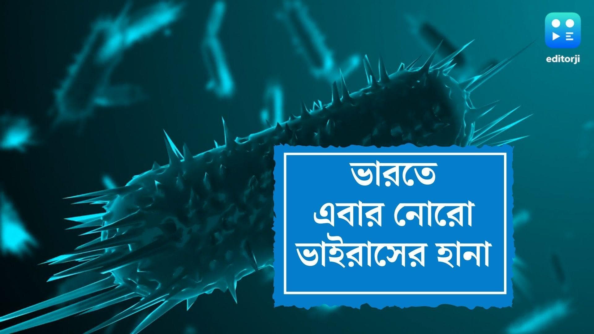 Norovirus in India:কোভিডের মাঝেই এবার ভারতে নোরো ভাইরাসের হামলা