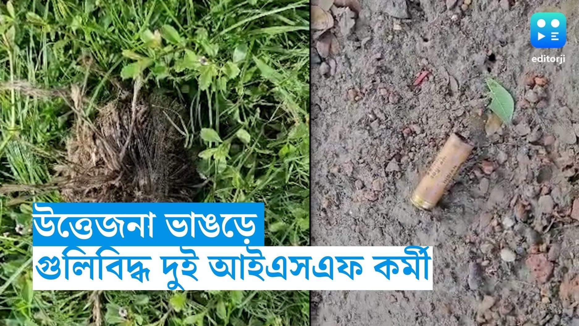 Panchayat Election 2023:  ভাঙড়ে তৃণমূল-আইএসএফ সংঘর্ষ, গুলিবিদ্ধ ২ ISF কর্মী