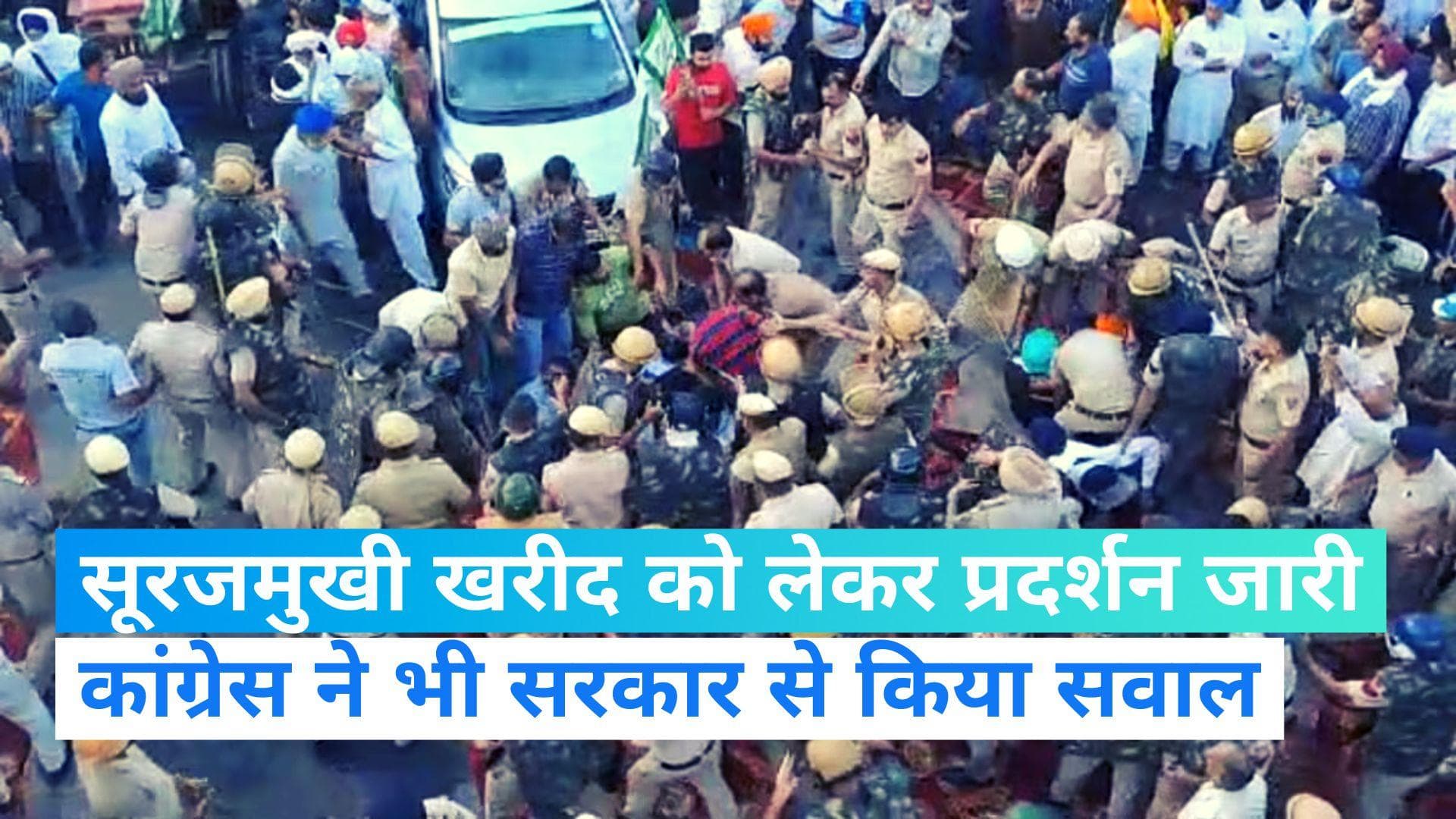 Haryana: सूरजमुखी खरीद को लेकर किसानों का प्रदर्शन जारी, समर्थन में आए पहलवान और कांग्रेस ने किया सवाल