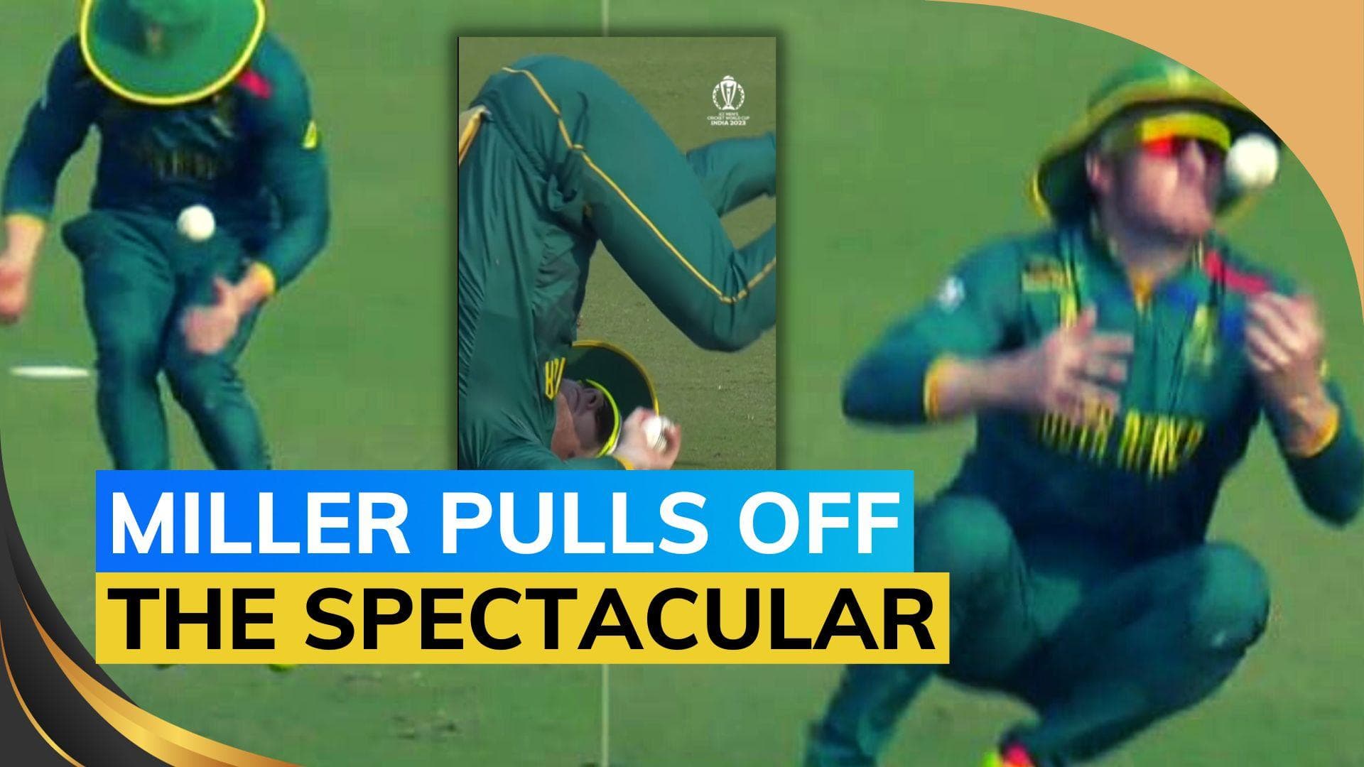 Watch: David Miller's outrageous catch against Afghanistan in Cricket World Cup | Viral video | SA vs AFG