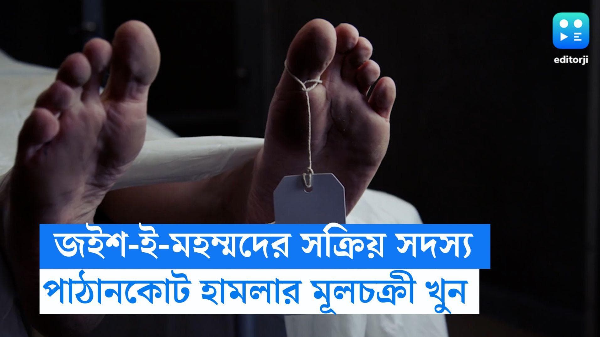 Jaish leader killed in Pakistan: পাঠানকোট হামলার মূল চক্রী খুন পাকিস্তানে, গুলি করে হত্যা করে দুষ্কৃতীরা 