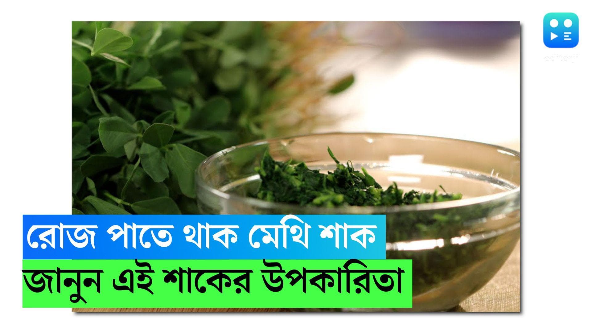 Fenugreek Leaves: শীতে রোজ পাতে থাক মেথি শাক, জানুন এতে কী উপকার হয়